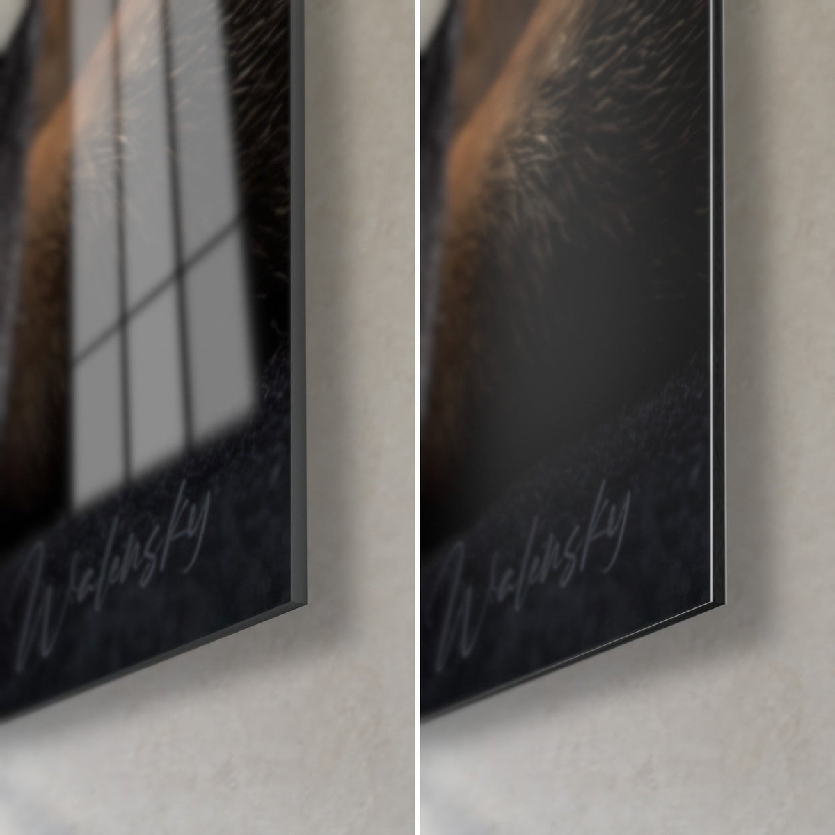 Schilderij hond met bronzen vacht, glanzende glazen hoek rechtsonder en mat Dibond-aluminium, grijze signatuur en rand van 3 mm