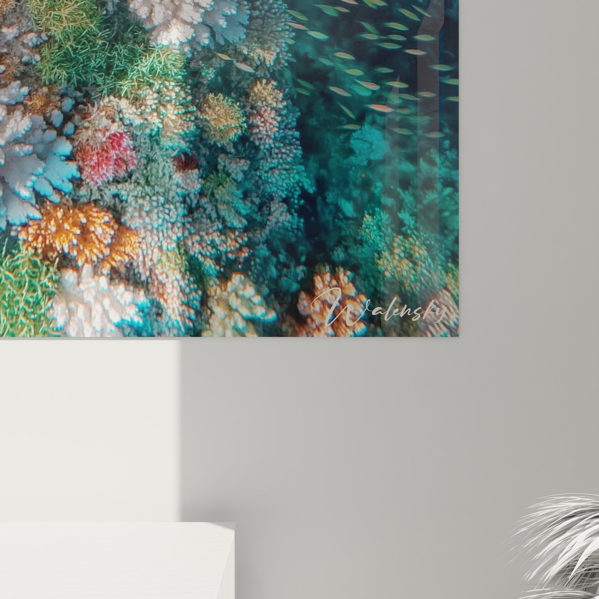 Vue ensemble tableau mural grand format banc poissons tropicaux récif corallien décoration fonds marins