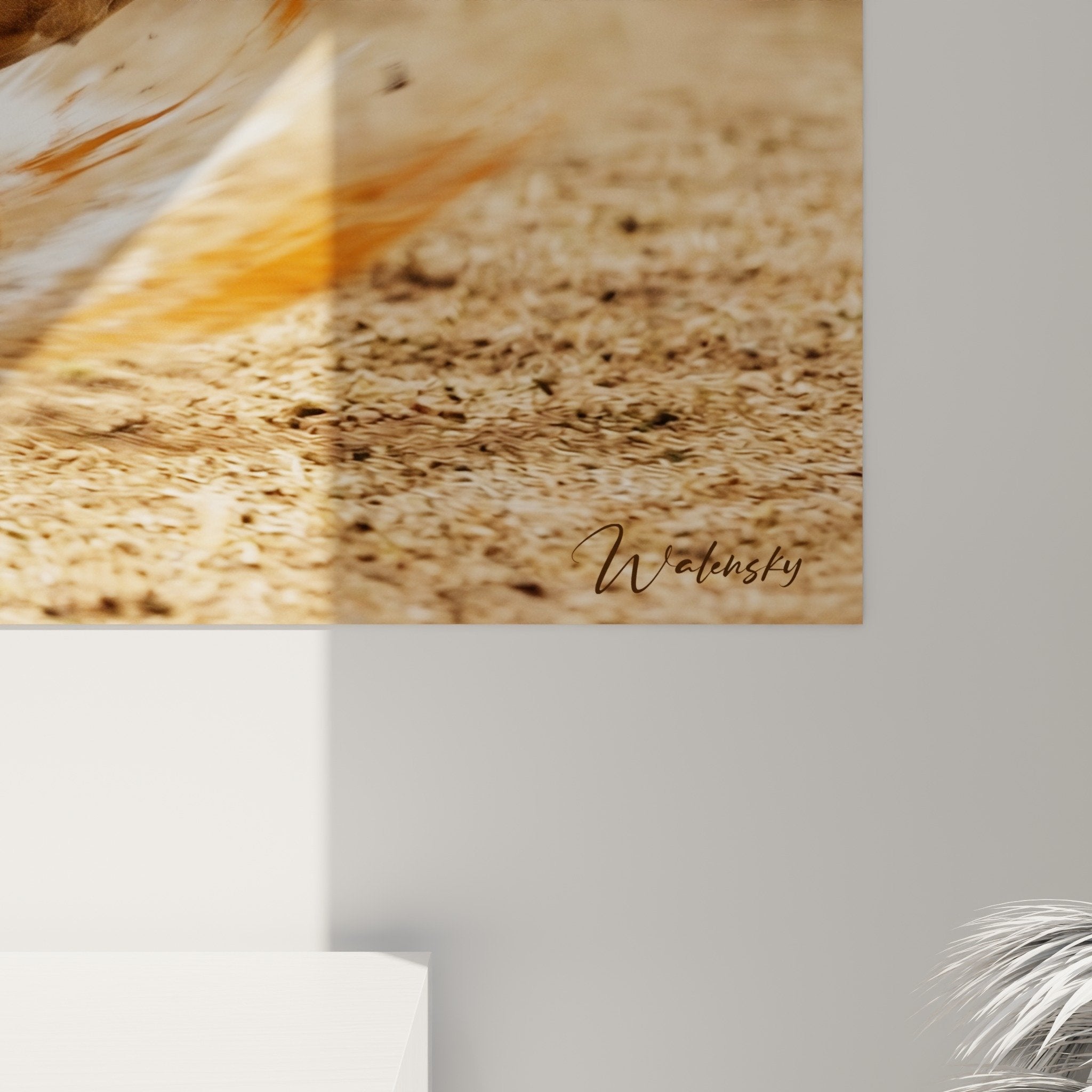 Vue d'ensemble tableau mural Fila Brasileiro en action avec spirales colorées dans intérieur moderne