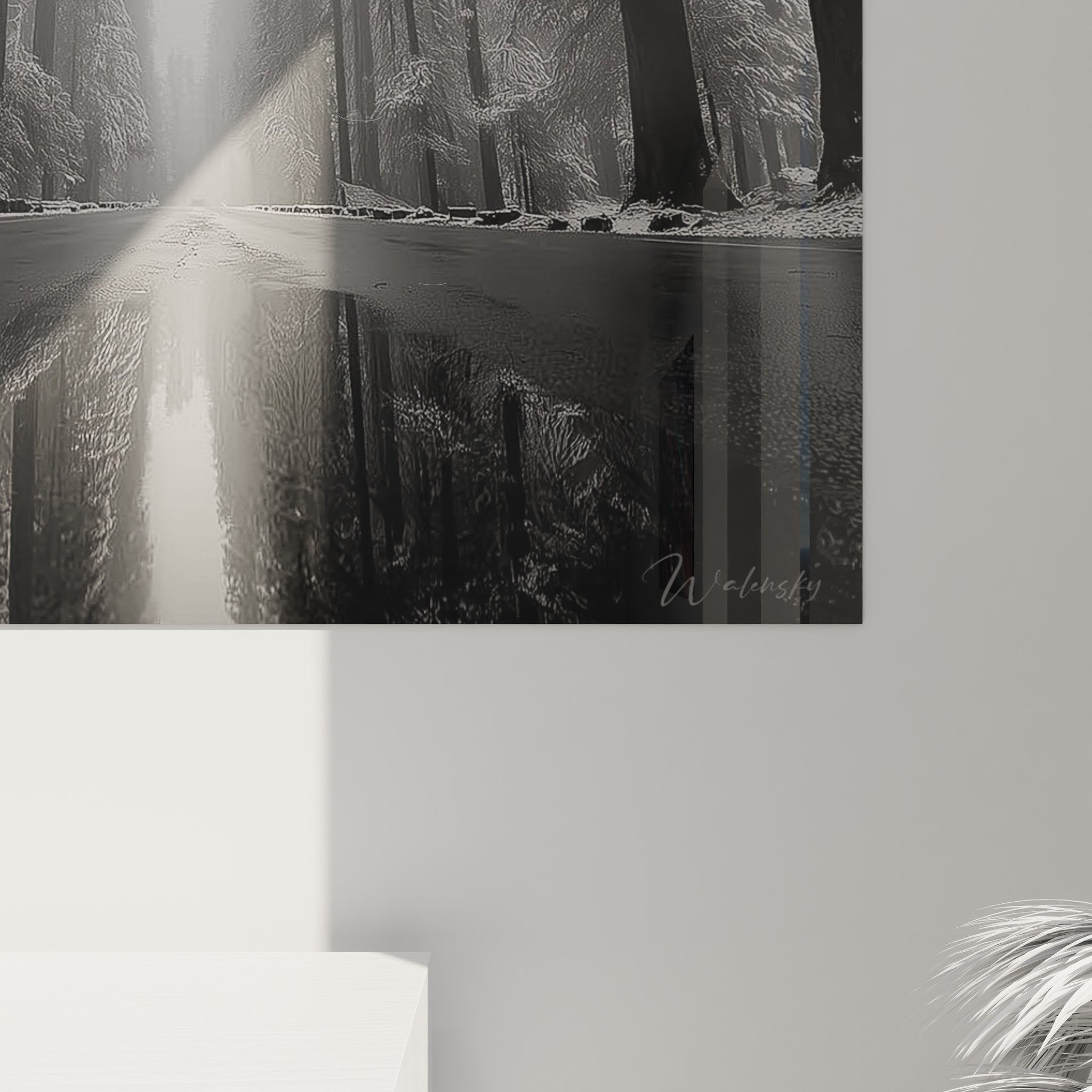 Vue d'ensemble tableau mural forêt mystérieuse, décoration nature noir et blanc pour intérieur moderne