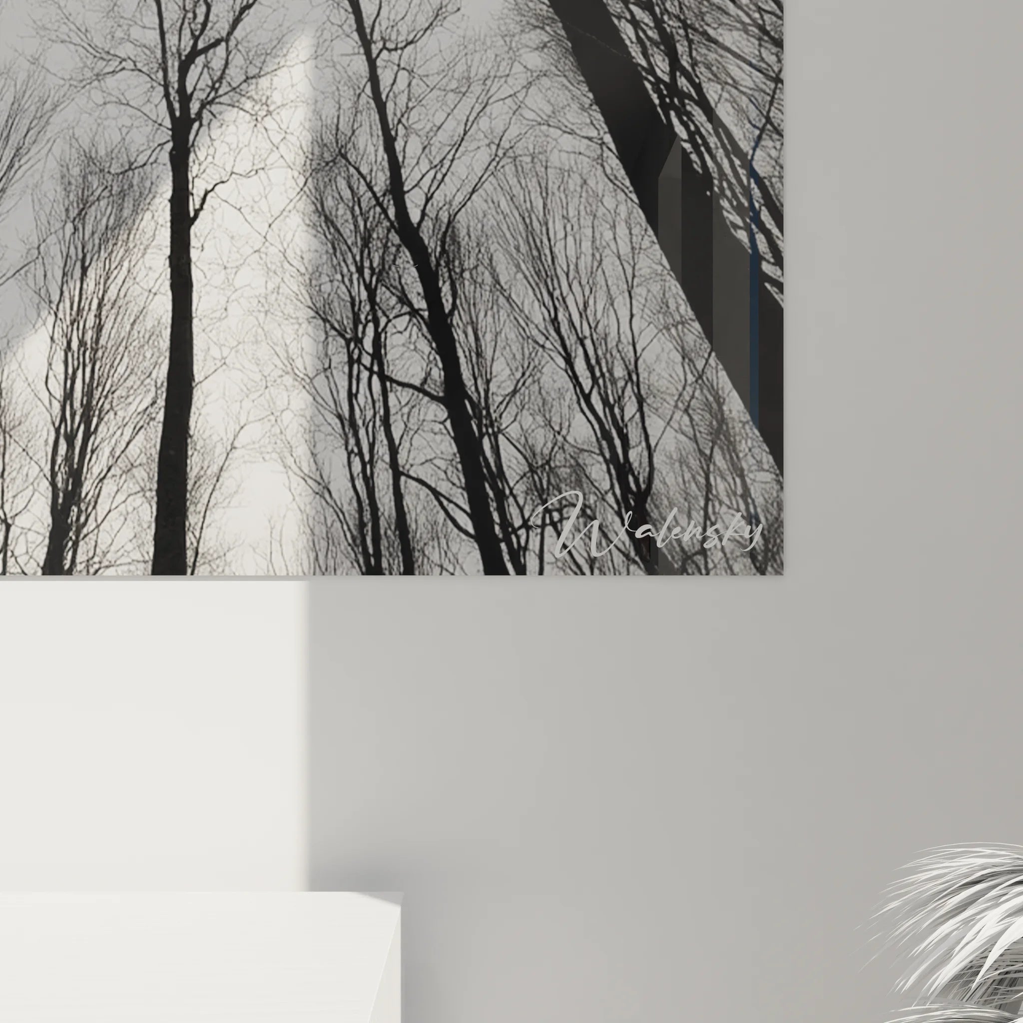 Vue ensemble tableau forêt vue plongée noir blanc décoration murale paysage nature