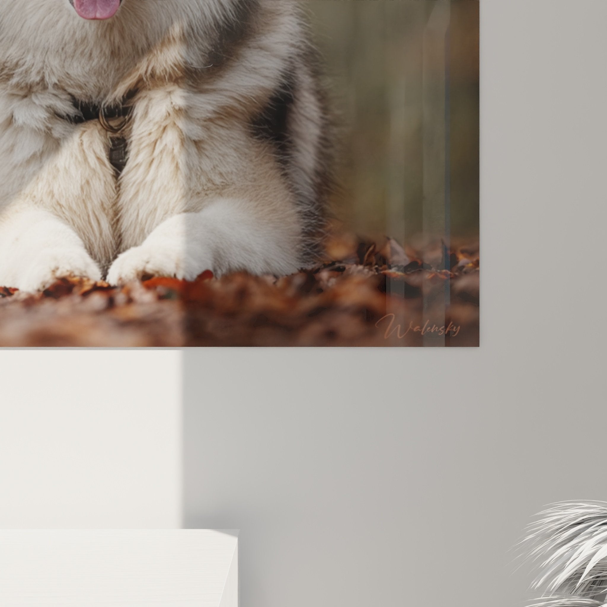 Vue ensemble tableau malamute alaska décoration intérieure salon moderne cadre élégant ambiance cosy