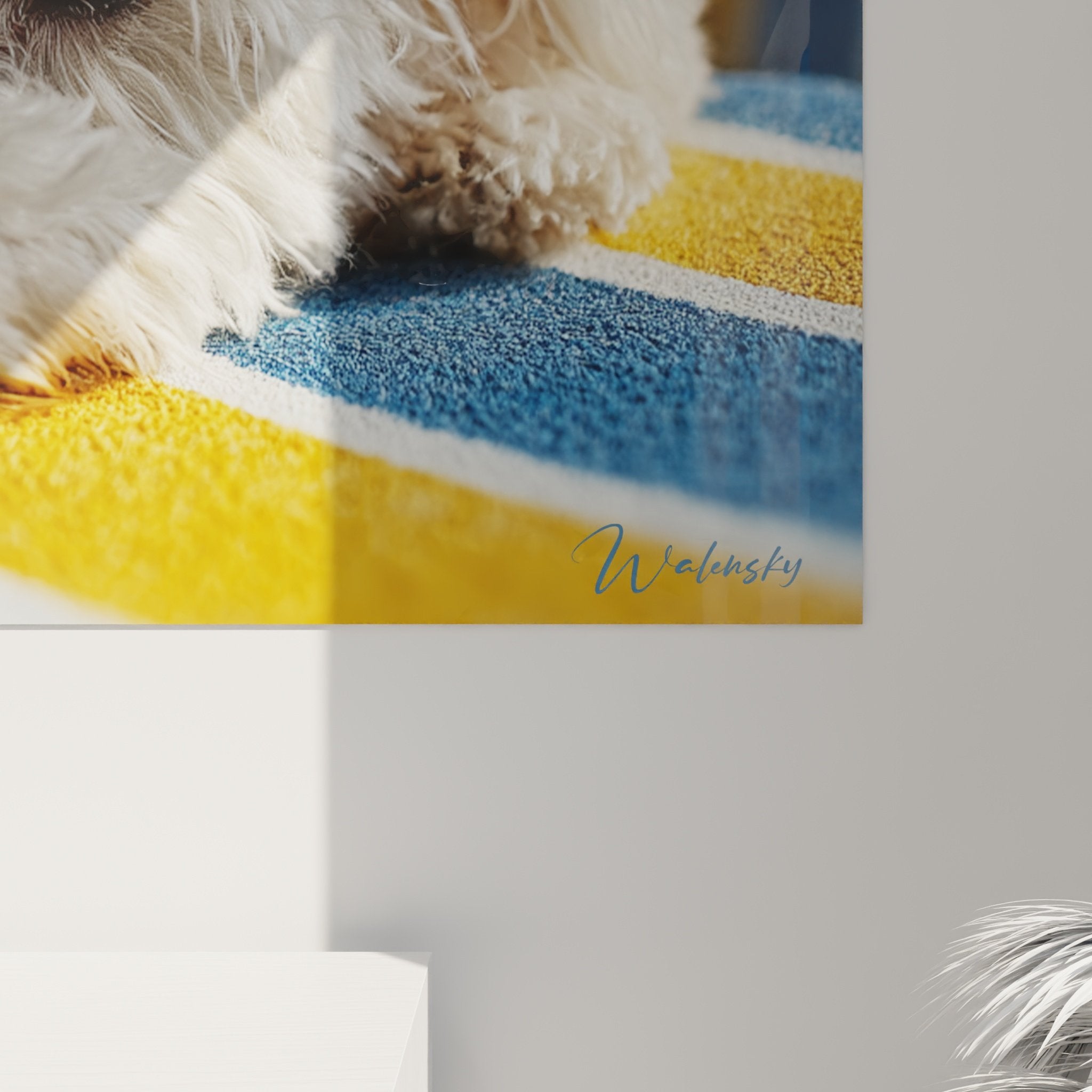 Vue d'ensemble tableau mural Bichon Frisé détendu créant atmosphère douce et réconfortante