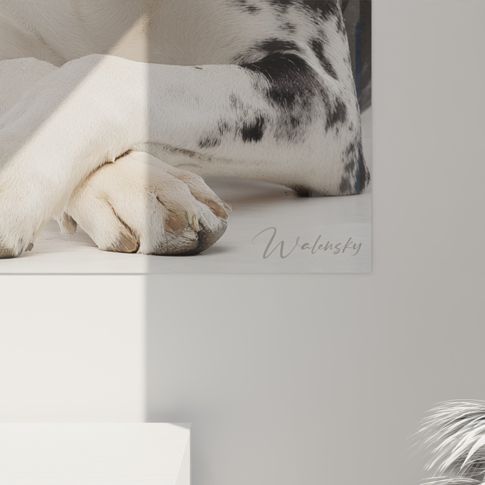 Übersichtsansicht Wandgemälde Deutsche Dogge Harlekin, dekoratives Kunstwerk für zeitgenössisches Interieur