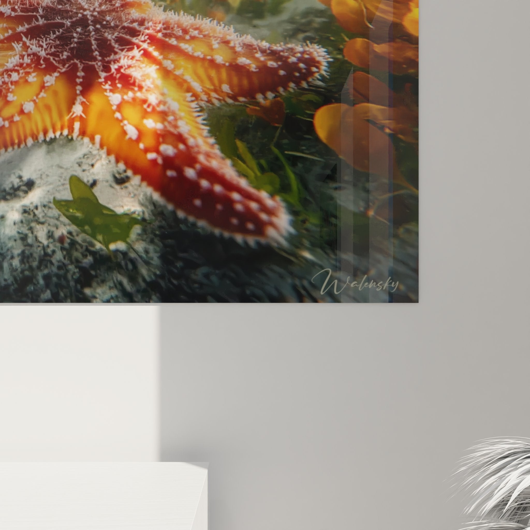 Vue ensemble tableau mural étoile de mer sous-marine décoration intérieure moderne