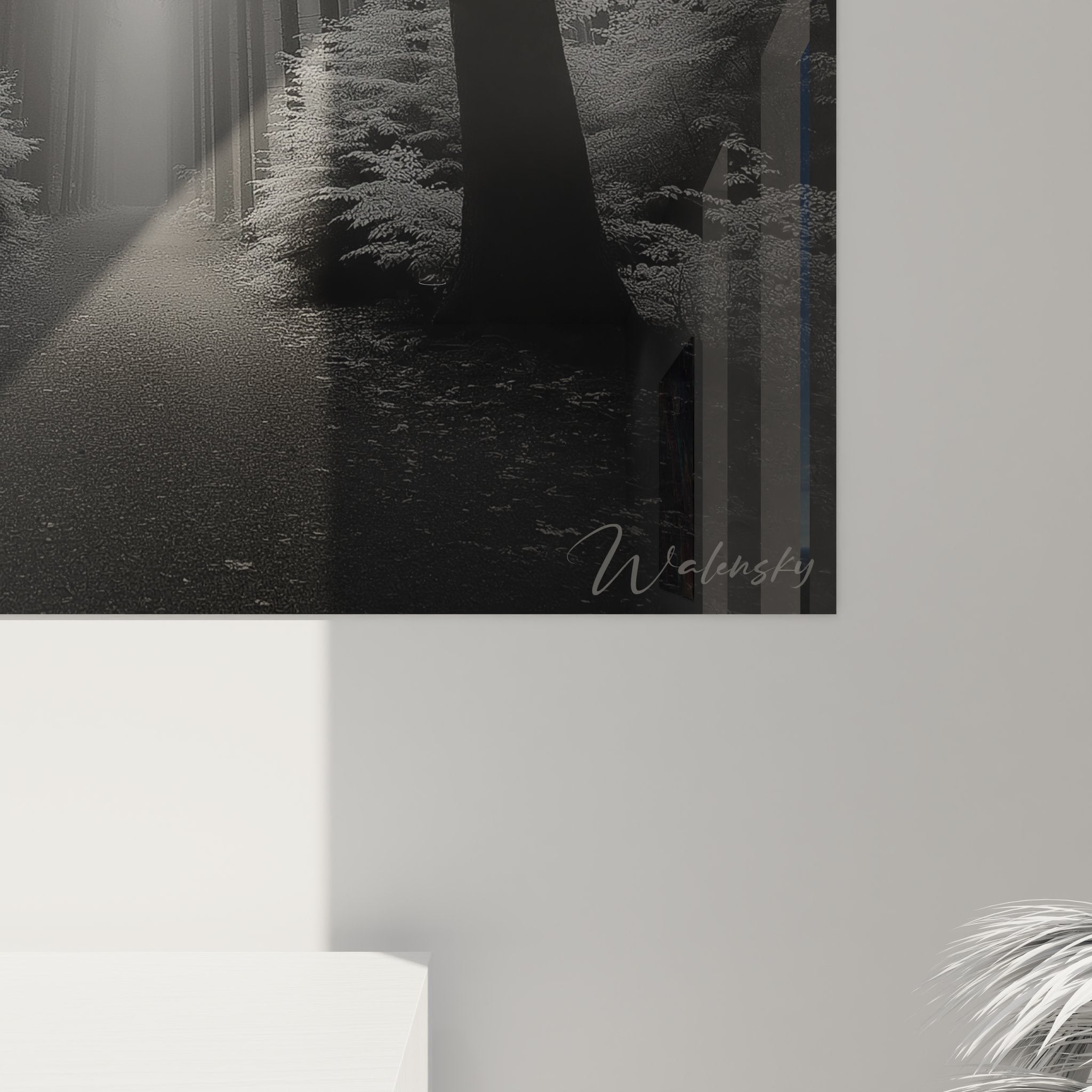 Vue ensemble tableau forêt lumière divine arbres majestueux décoration murale noir blanc photographie artistique