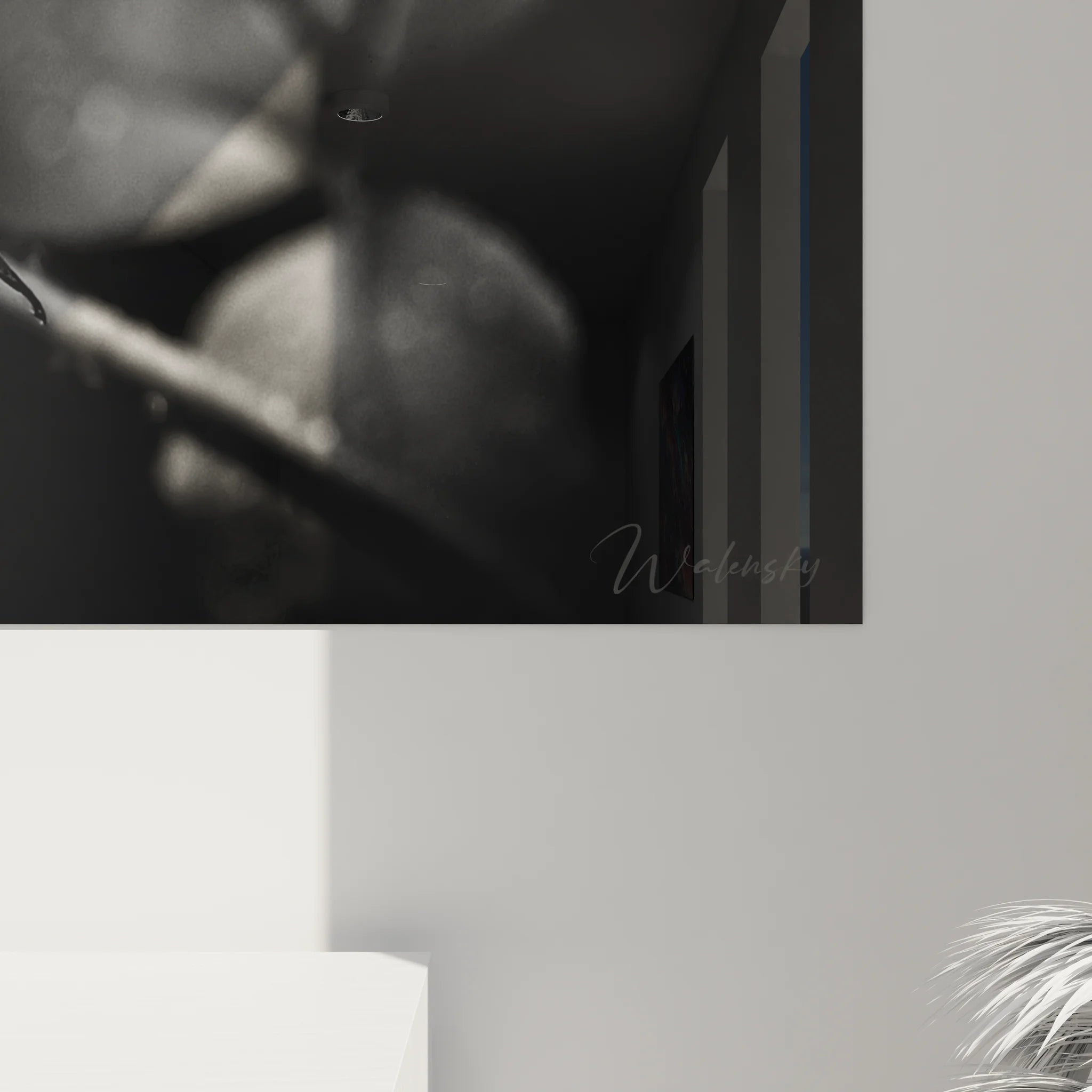 Vue d'ensemble tableau rose artistique noir et blanc, art mural floral pour intérieur moderne