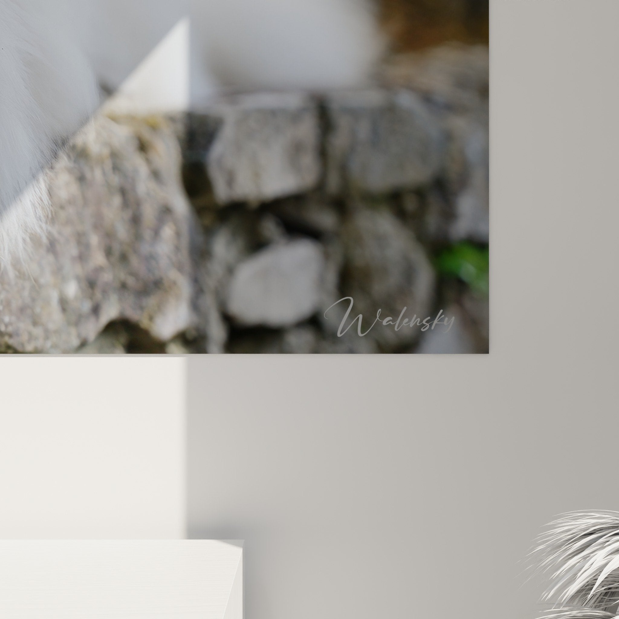 Vue d'ensemble tableau mural Spitz Japonais blanc sur pierre dans intérieur contemporain et lumineux