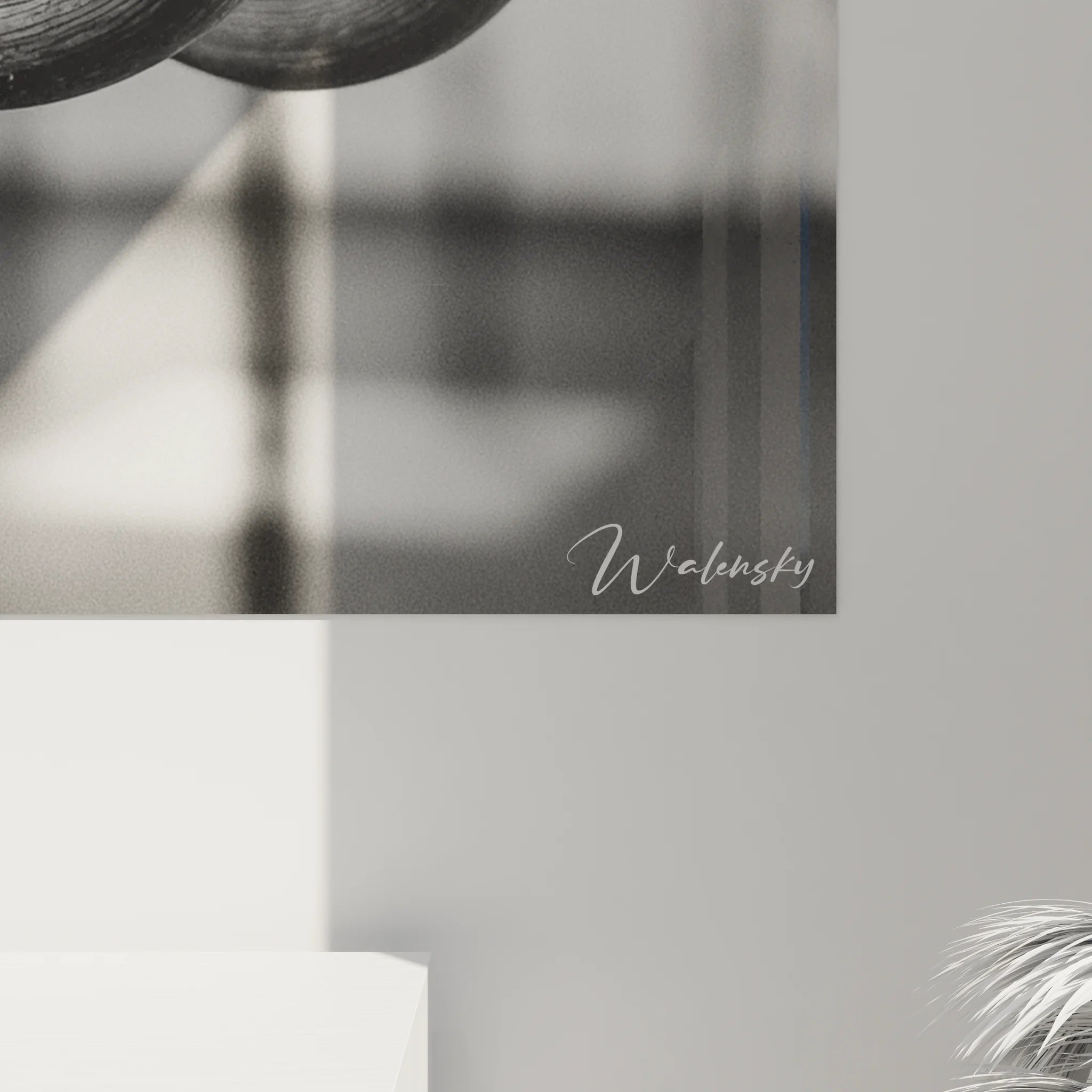 Vue ensemble tableau anneaux gymnastique noir blanc décoration murale sport salle fitness moderne