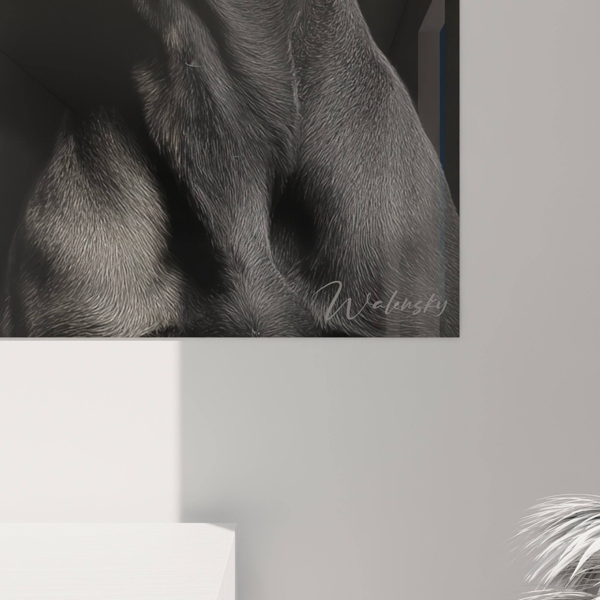 Vue d'ensemble tableau Weimaraner duo, œuvre photographique monochrome dans intérieur contemporain