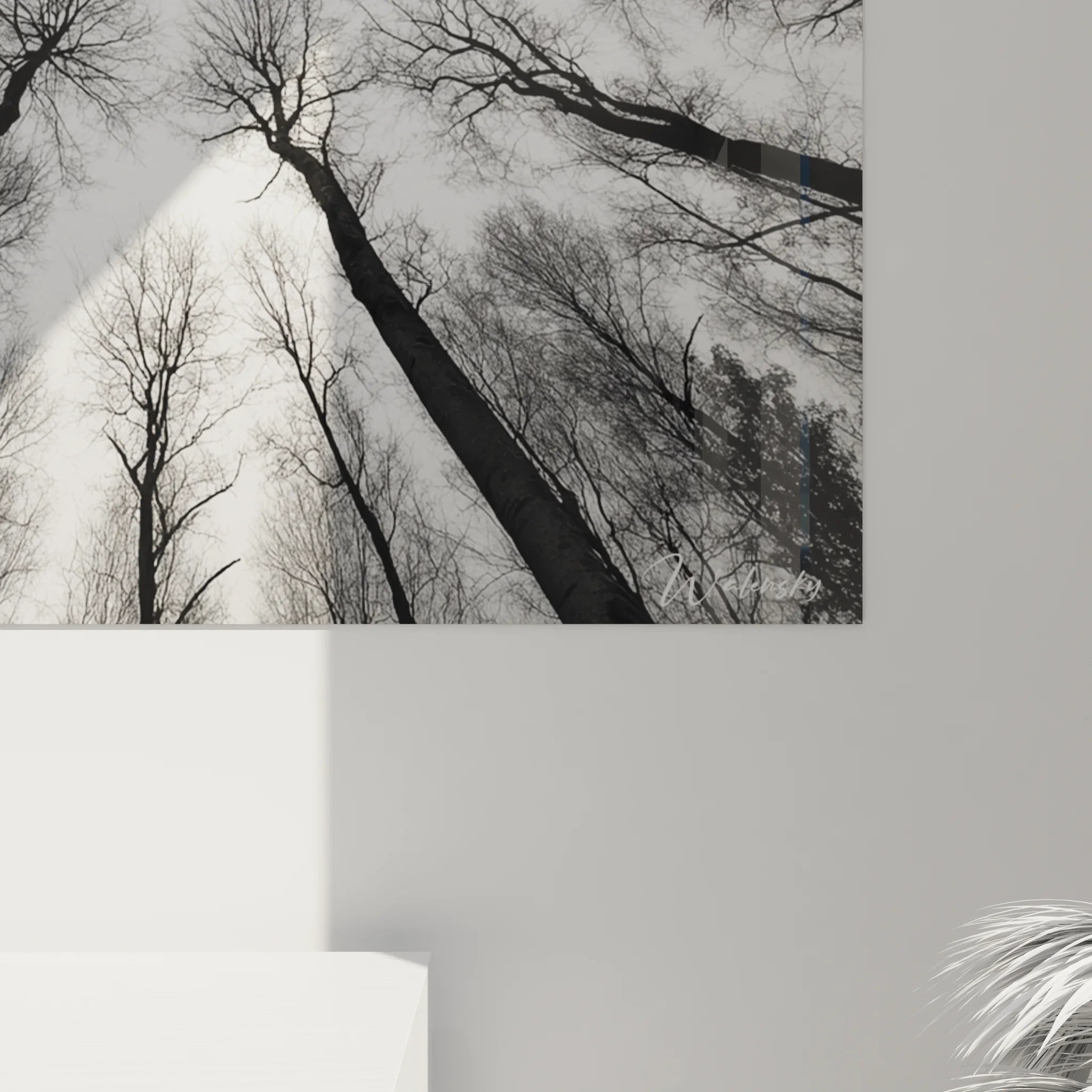 Vue ensemble tableau XXL forêt noir blanc avec perspective circulaire canopée arbres élancés