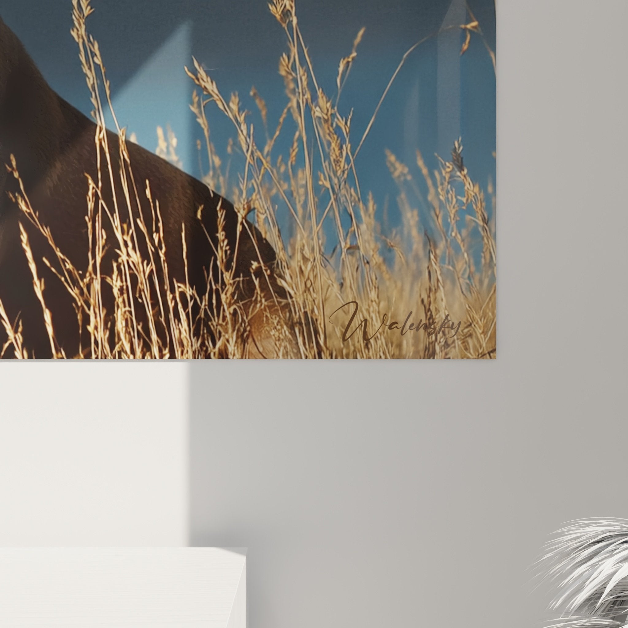 Vue d'ensemble toile Weimaraner dans salon contemporain murs clairs décoration naturelle