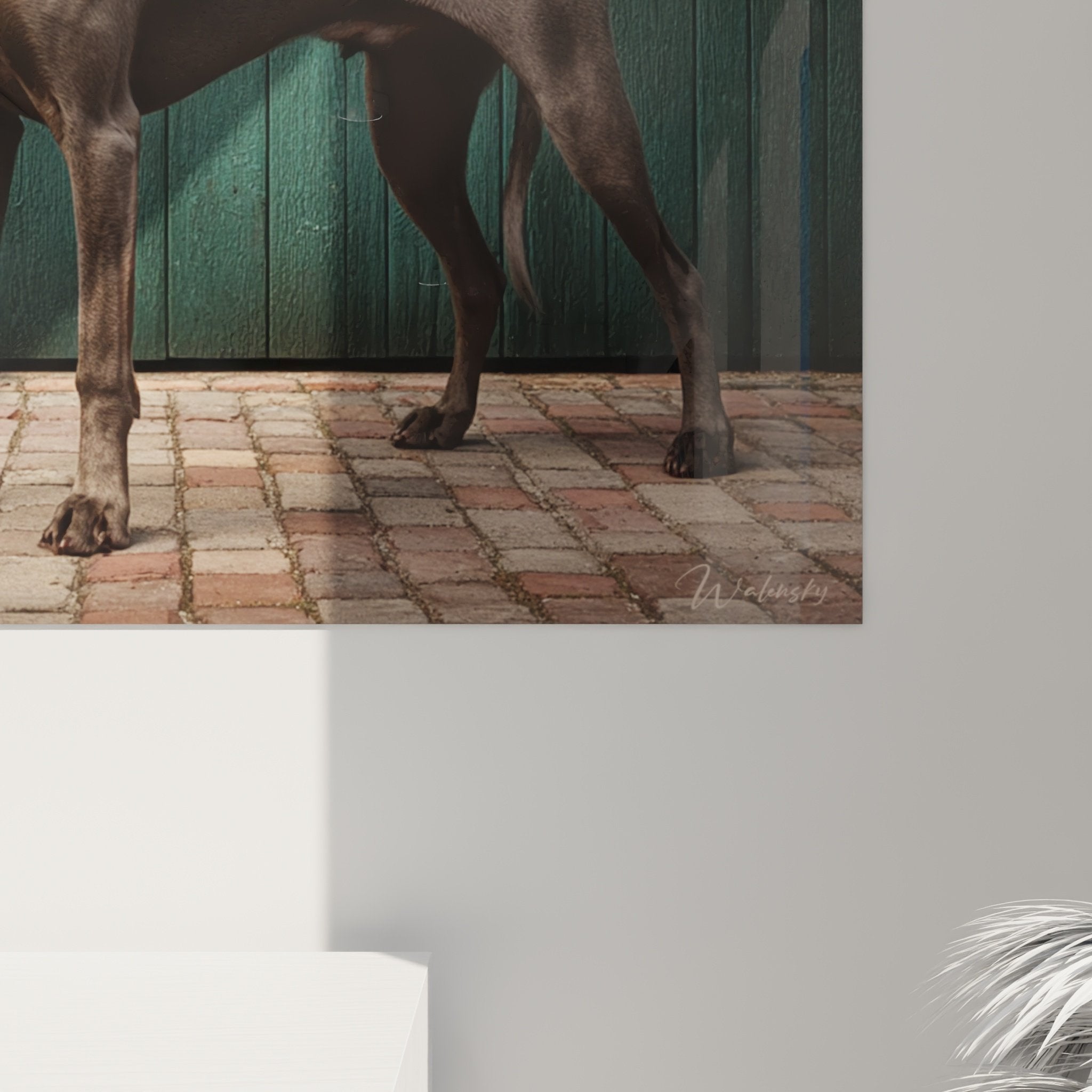 Vue d'ensemble tableau Weimaraner majestueux pose dignité fond vert émeraude pavés anciens composition équilibrée