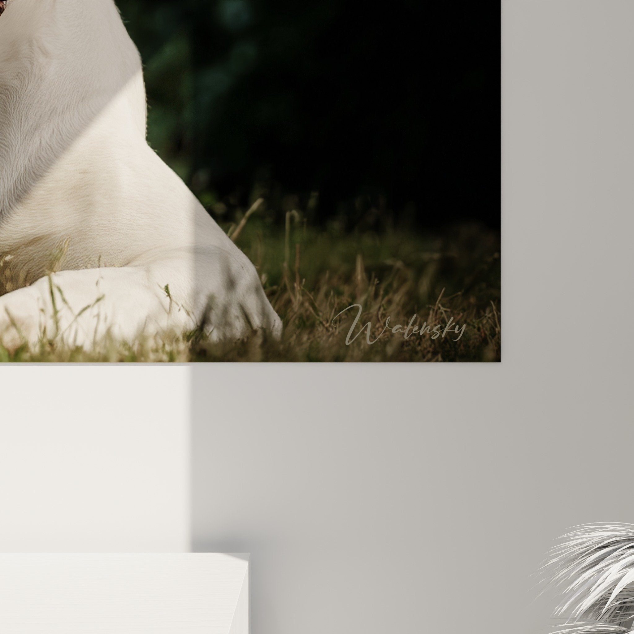 Vue d'ensemble tableau Dogue Argentin blanc dans salon épuré avec canapé et décoration moderne