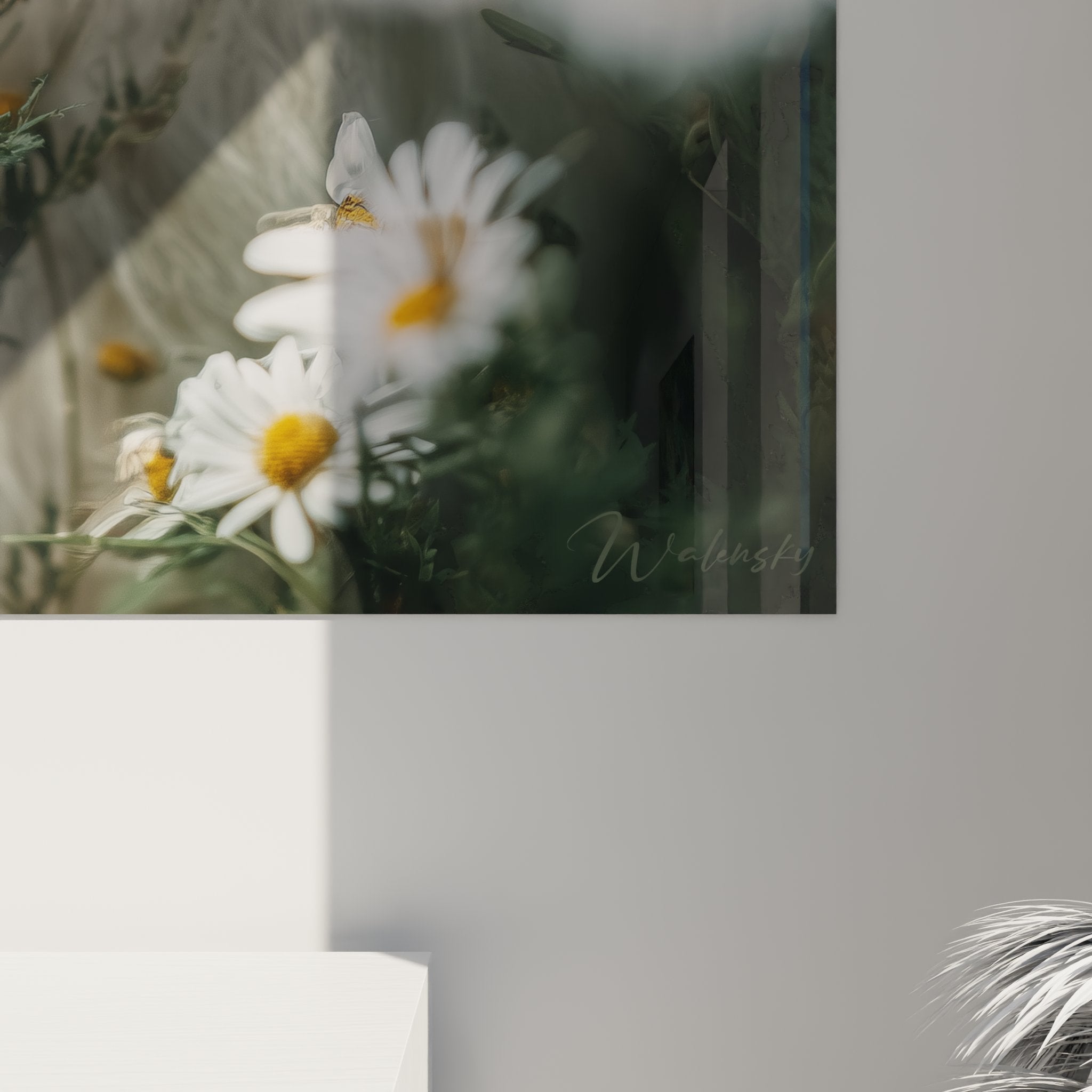 Übersichtsansicht Wandbild Australischer Schäferhund in Gänseblümchenfeld Blumenkompositio natürliches goldenes Licht