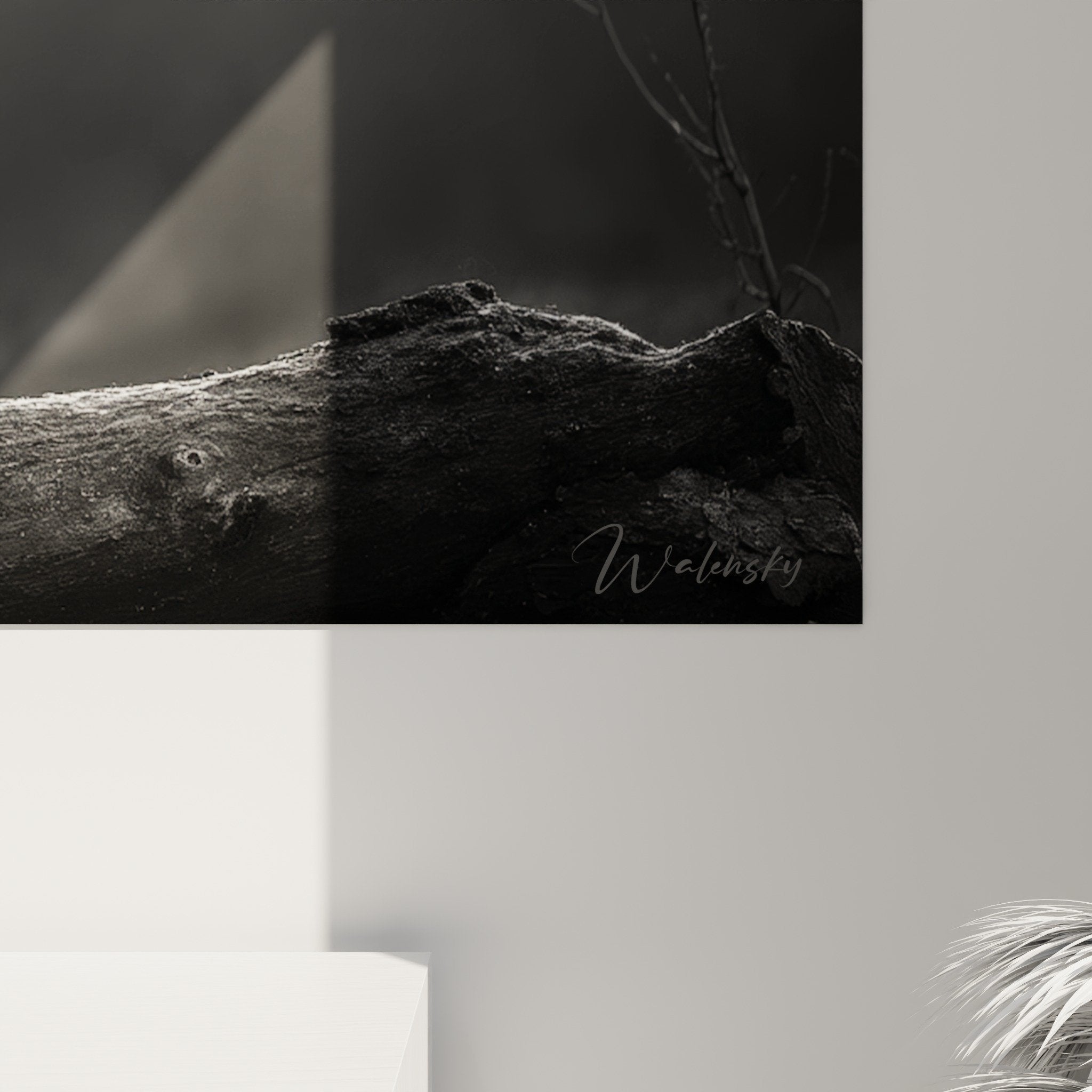 Vista d'insieme quadro pastore olandese decorazione murale bianco nero