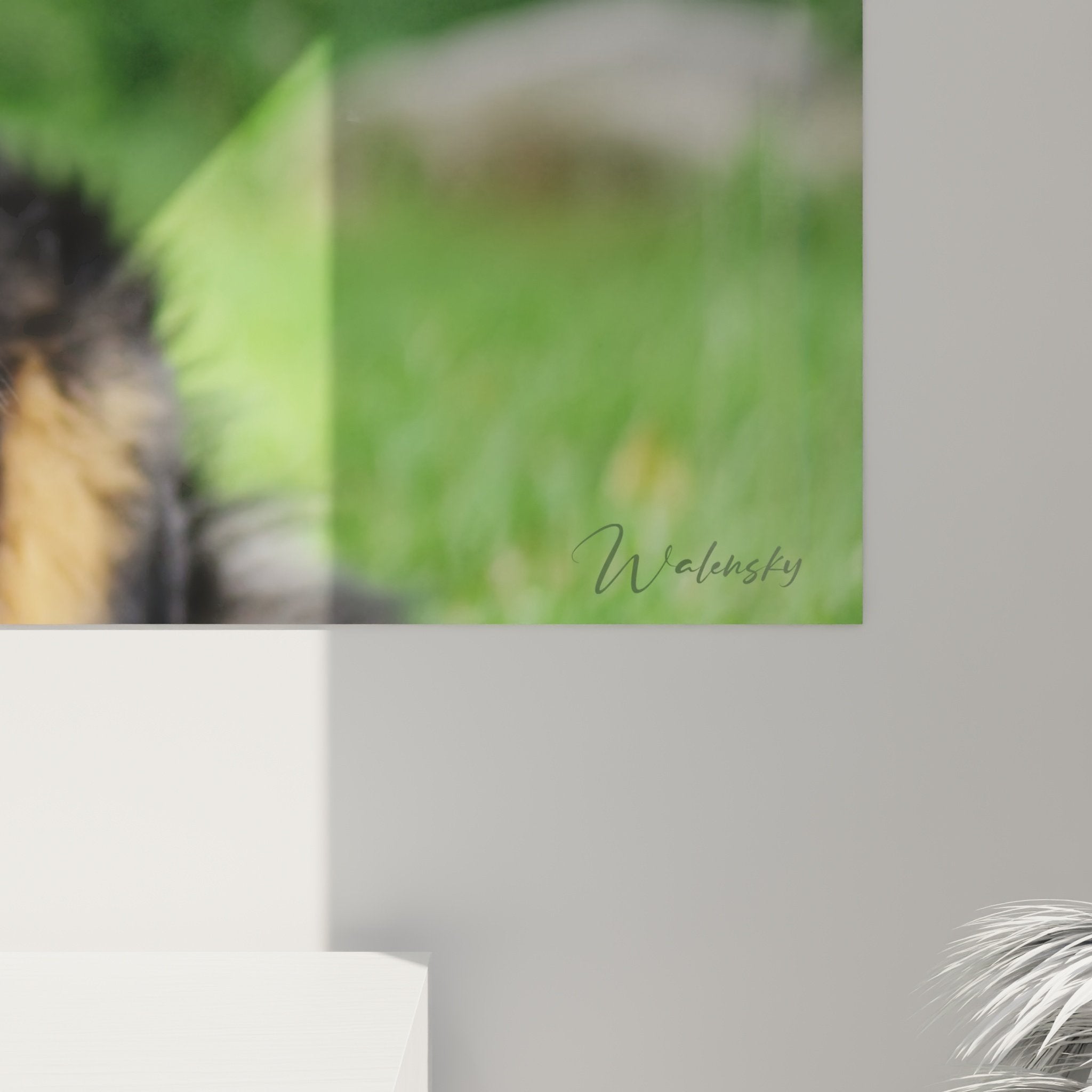 Gesamtansicht Porträtbild Berner Sennenhund Inneneinrichtung natürlicher Stil fröhlicher Hund