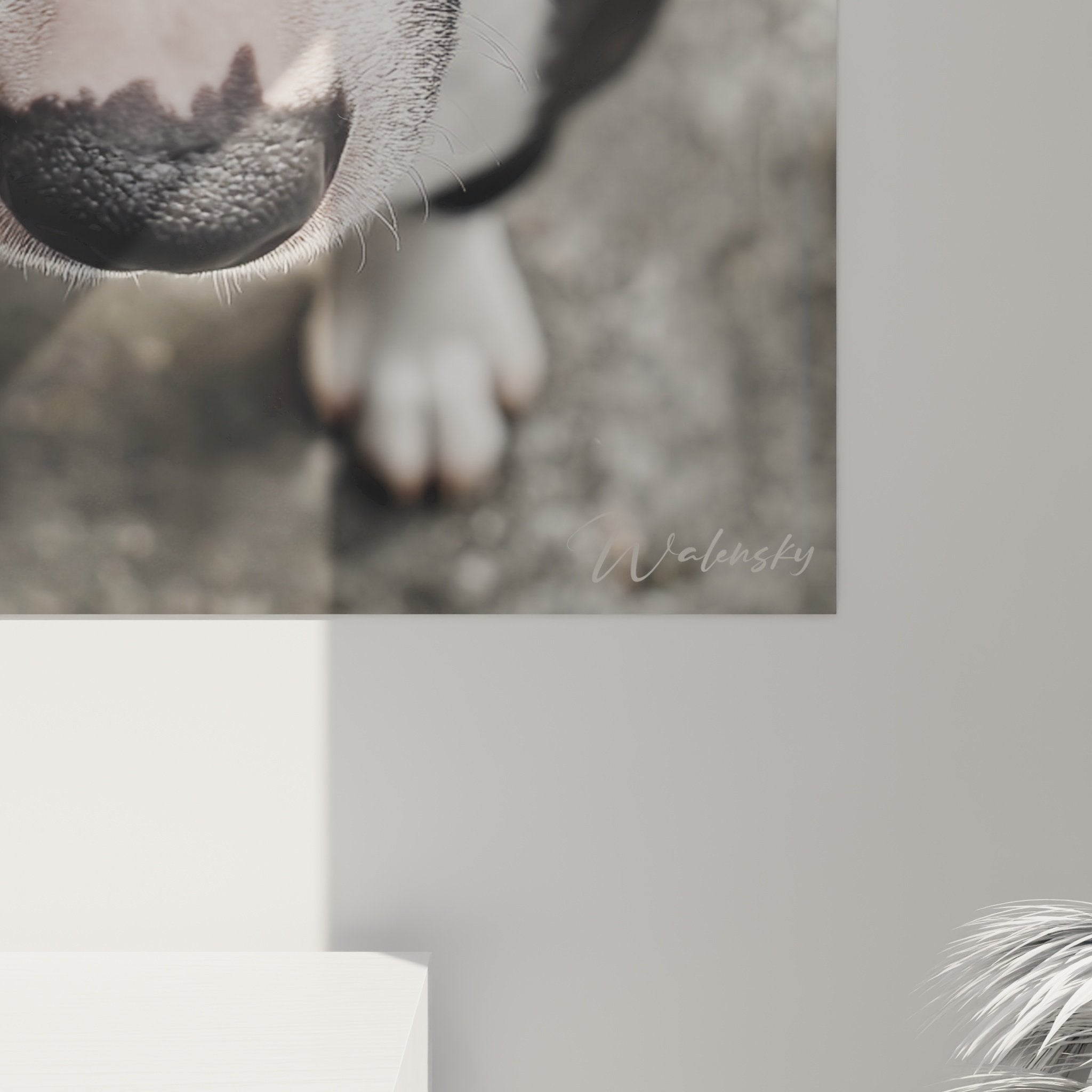 Vue ensemble tableau portrait bull terrier noir blanc sur mur salon contemporain