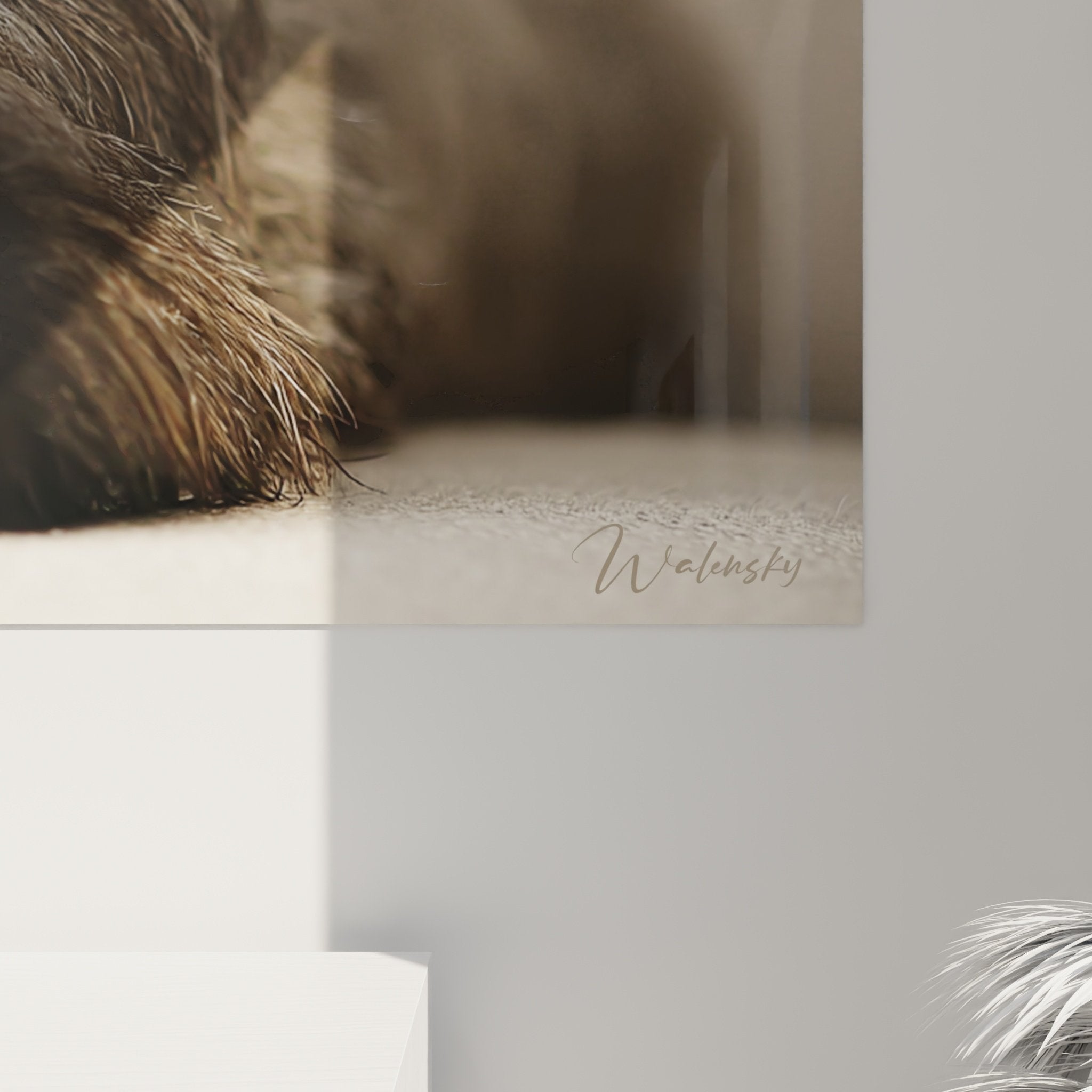 Vue ensemble tableau mural Cairn Terrier regard profond decoration interieure style naturel authentique