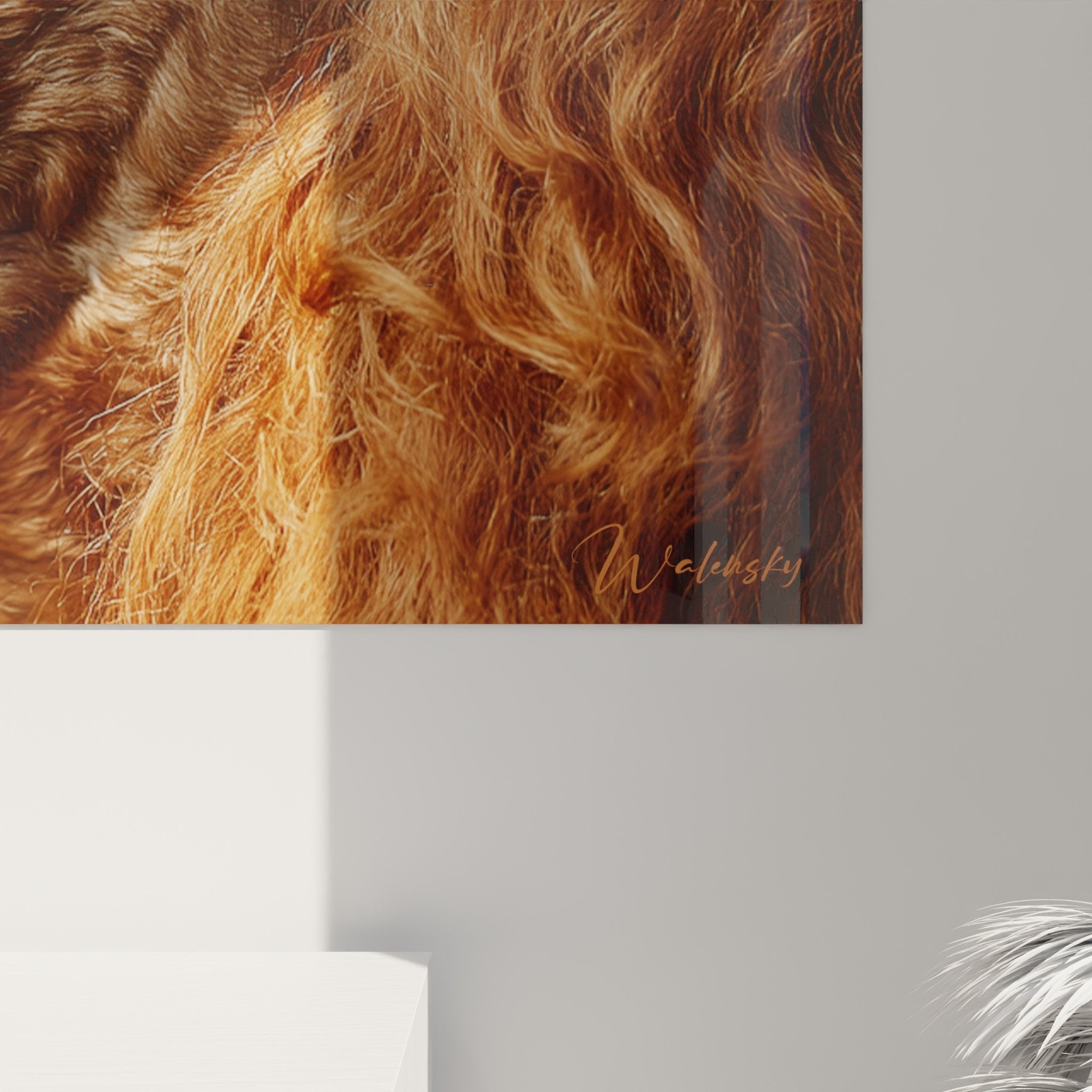 Vue ensemble tableau caniche fond jaune, harmonie couleurs chaudes décoration intérieur