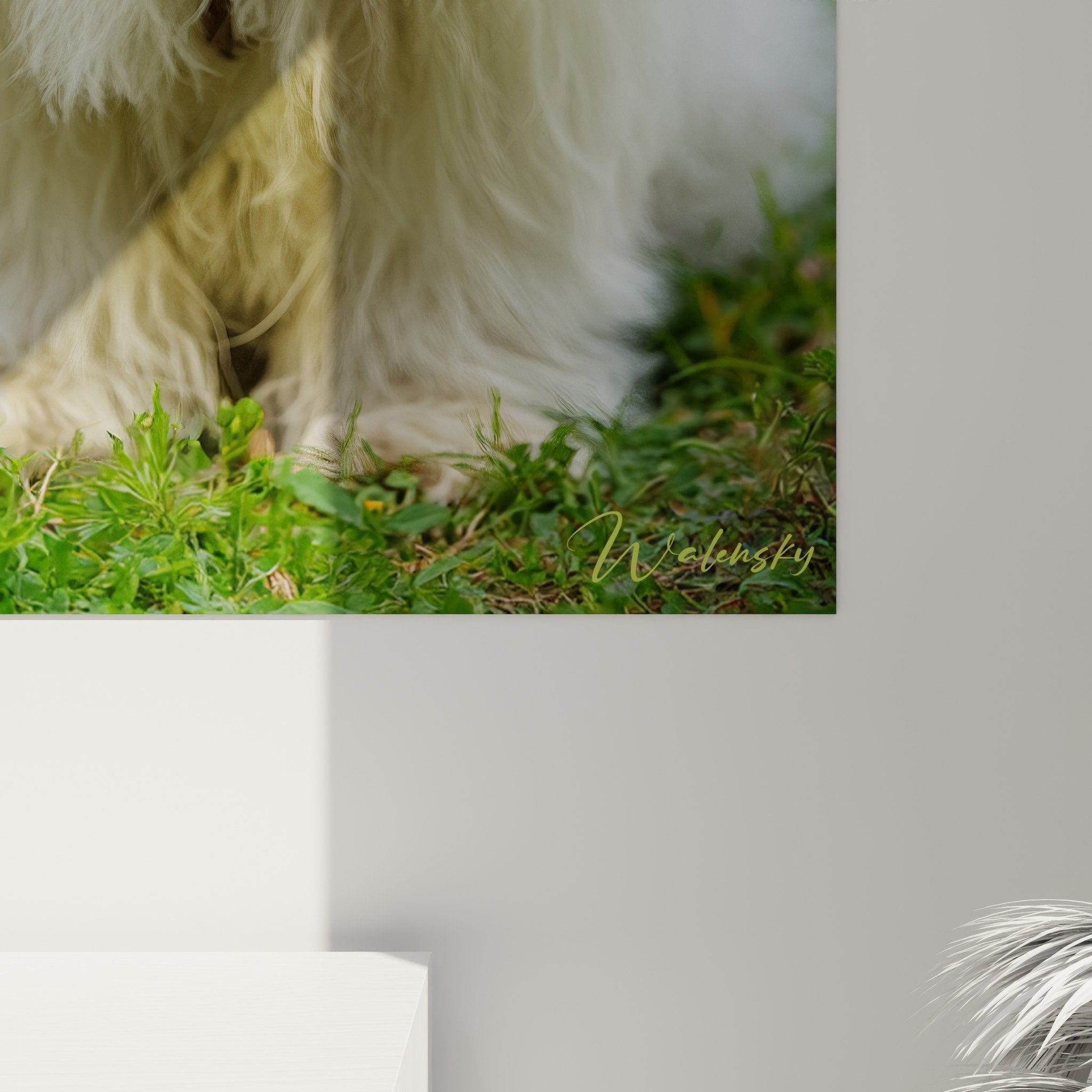 Gesamtansicht des Portrait-Gemäldes Coton de Tulear weiß Innenraumdekoration Wohnzimmerwand fröhlicher Hund