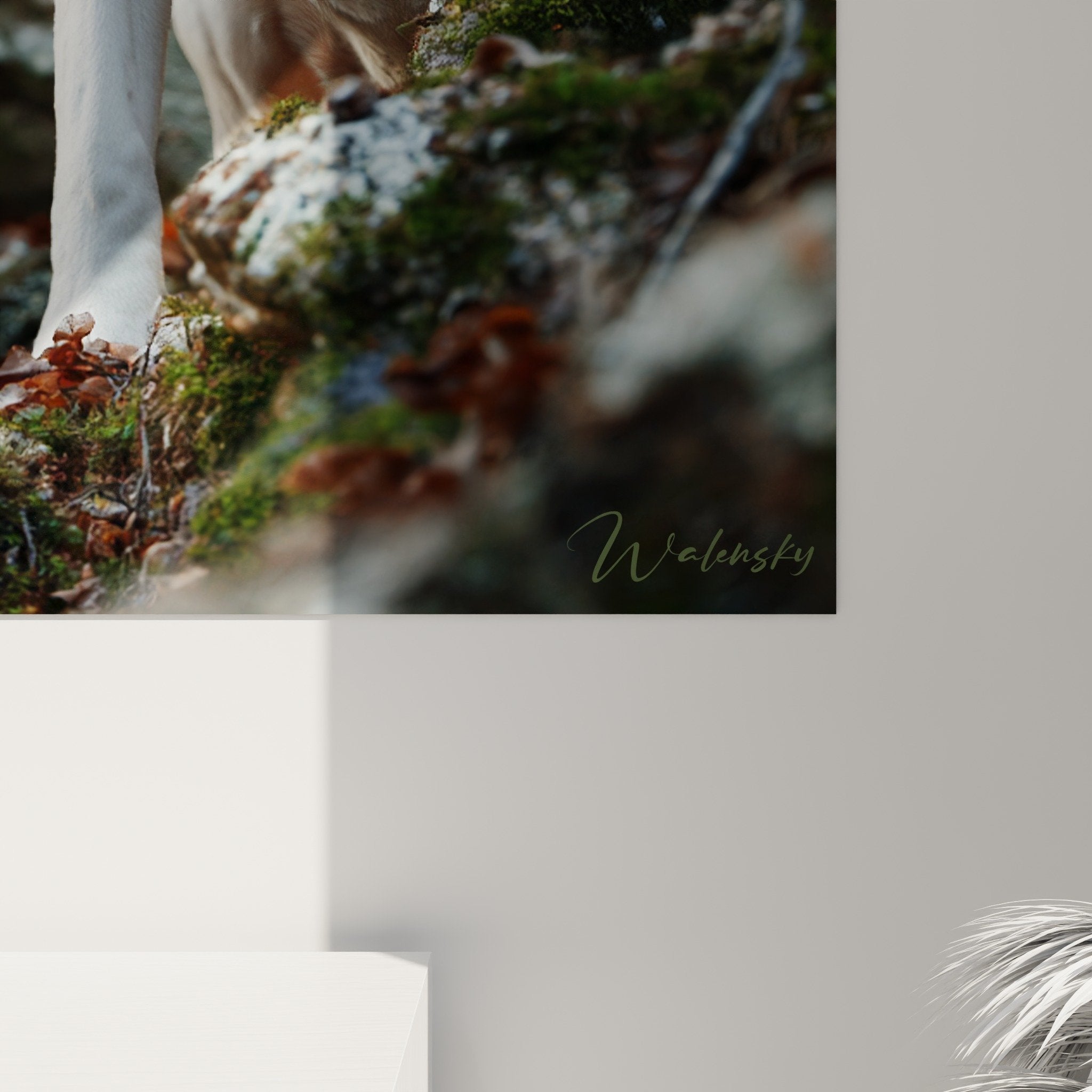 Vue ensemble tableau dogue argentin blanc salon decoration interieure elegante nature