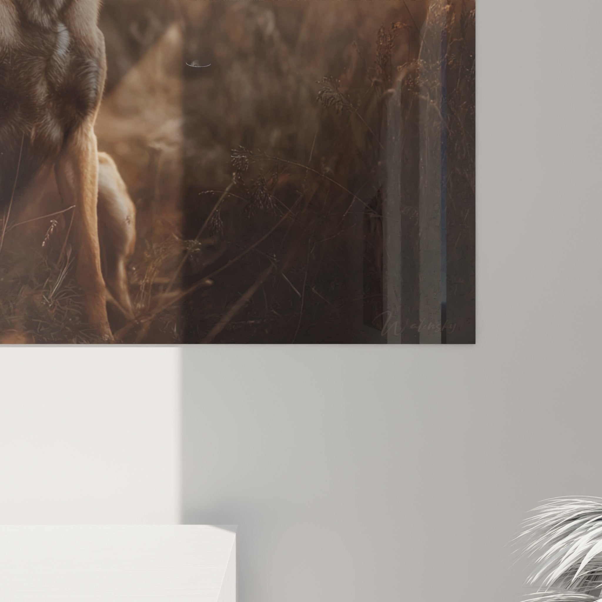 Belgian Malinois Shepherd canvas overview rural scene sunset rustic interior decoration