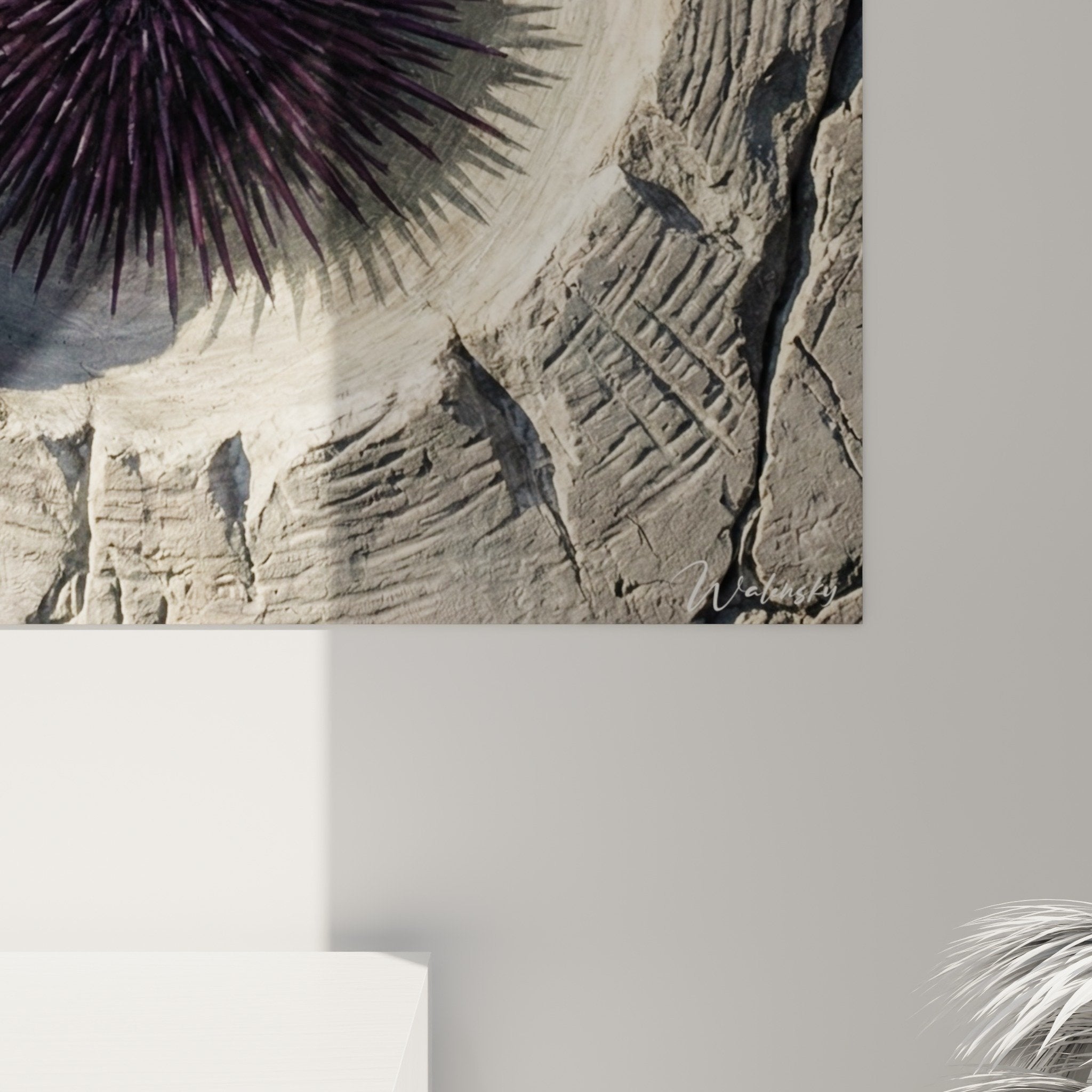 Gesamtansicht Seeigel-Kunstdruck violett Steinplastik natürliche Inneneinrichtung museale Atmosphäre Meerestier