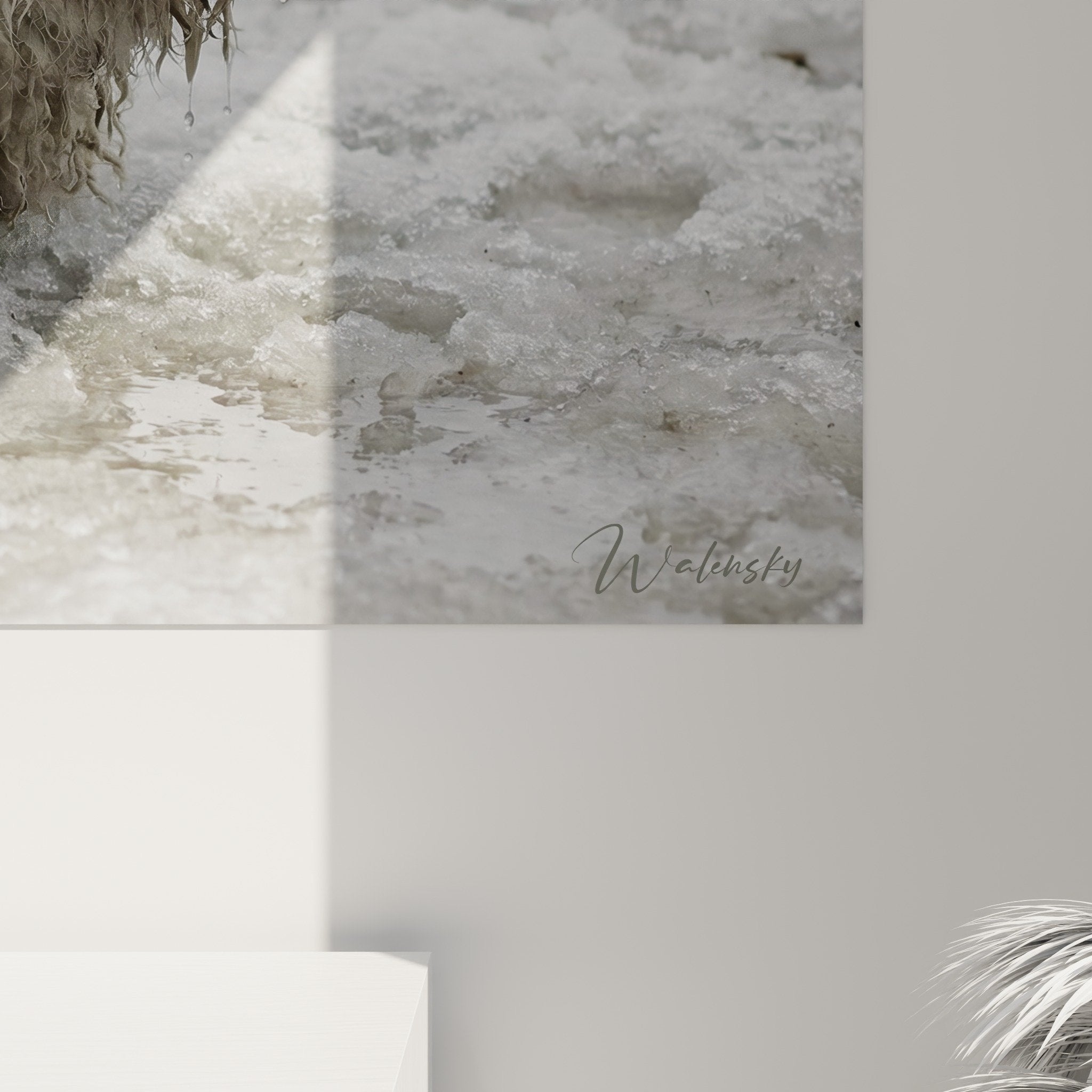 Vue ensemble tableau puli neige decoration murale, chien blanc poils cordes art photographique