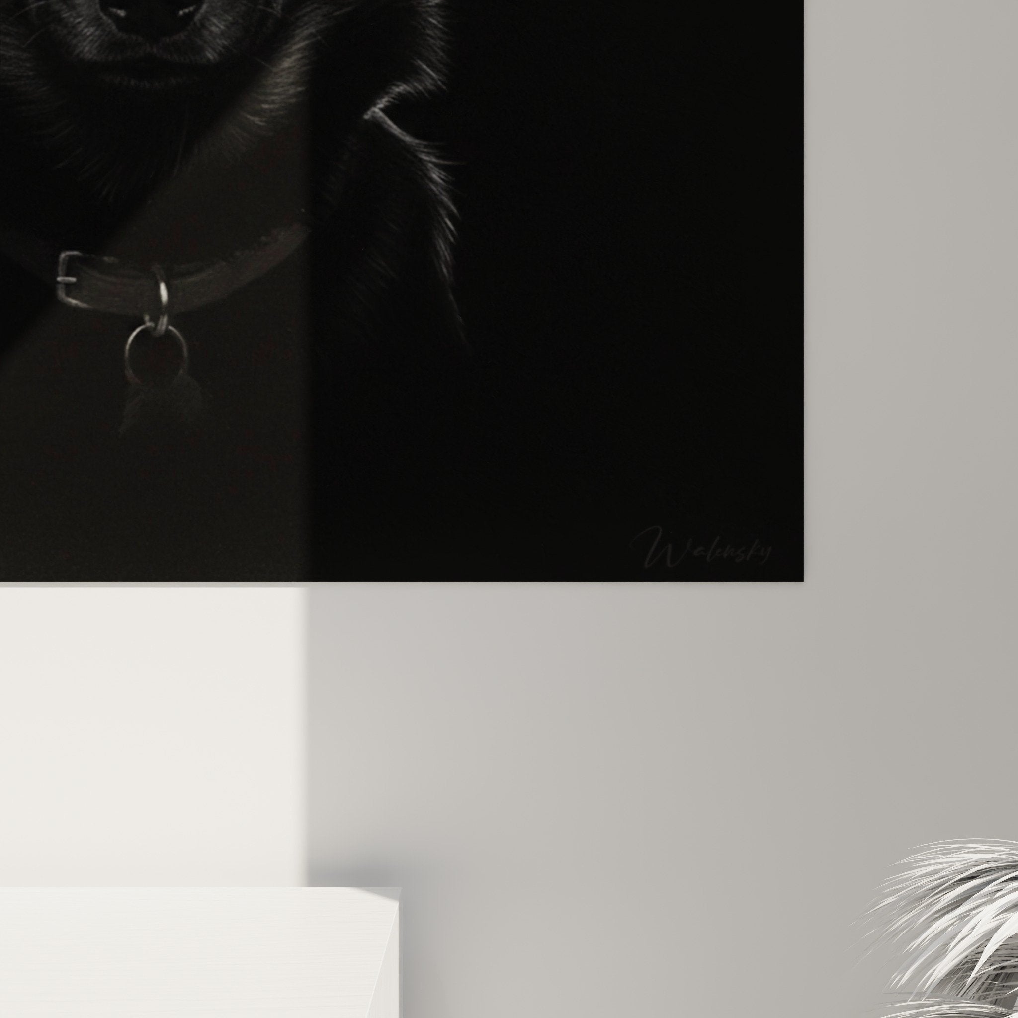 Schipperke portrait monochrome wall art print minimalist modern home decor overview