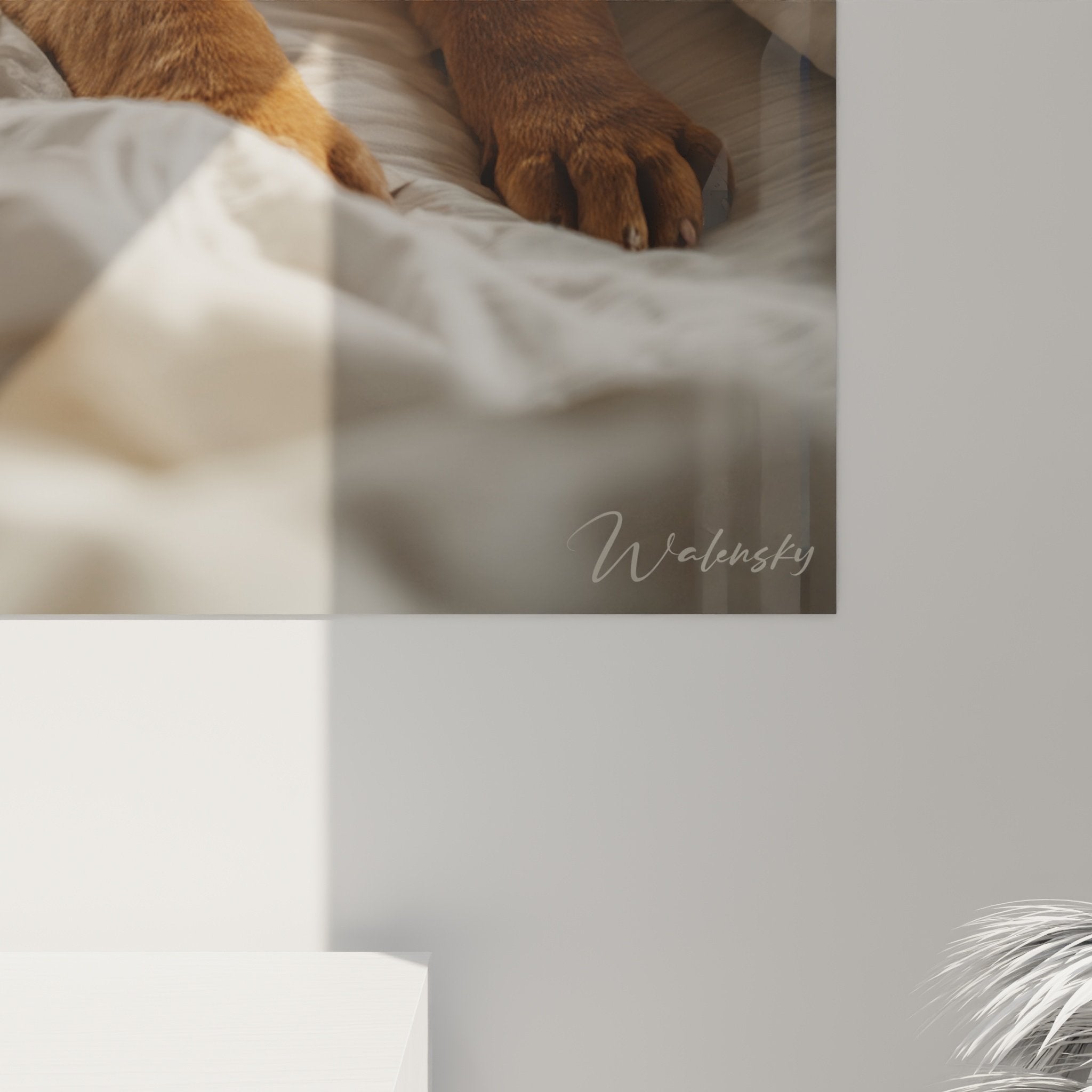 vue ensemble tableau shar pei chiot roux textile blanc froisse lumiere naturelle douce