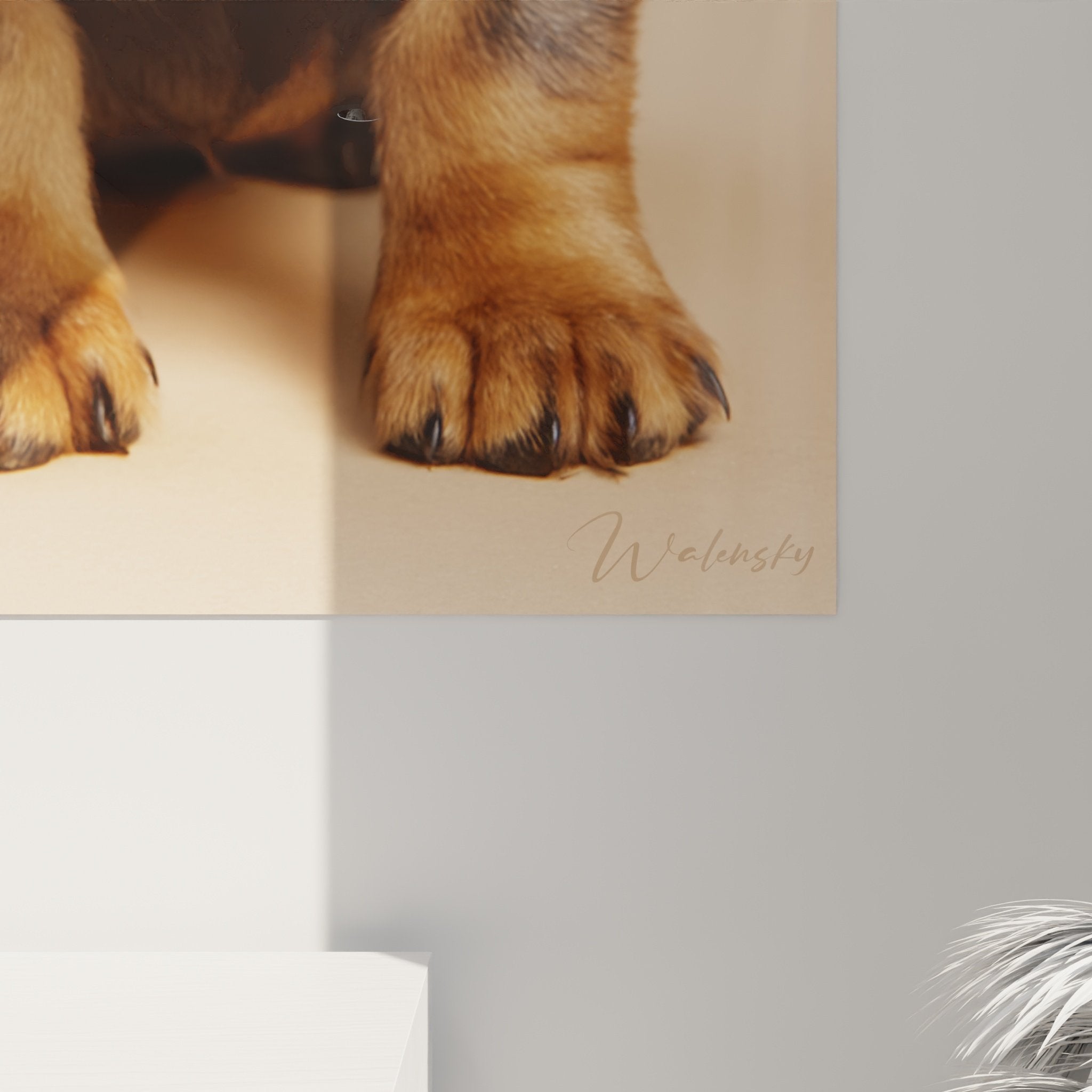 Vue ensemble tableau teckel chiot decoration interieur salon ambiance chaleureuse