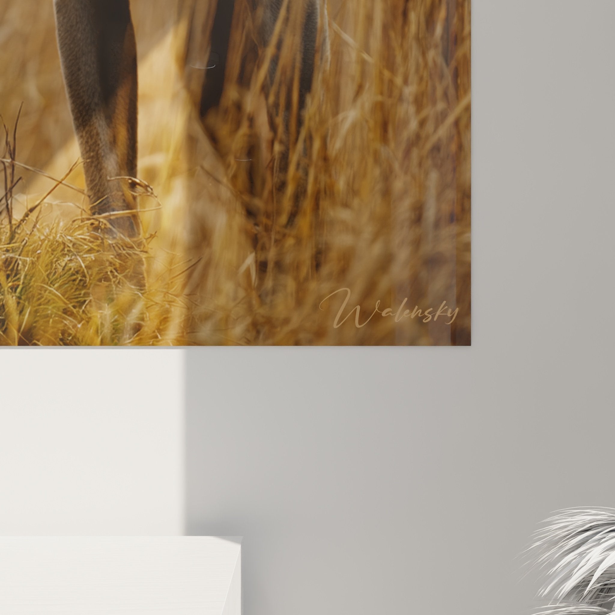 Vue d'ensemble tableau Weimaraner sur mur blanc, mise en scène décorative avec éclairage chaleureux