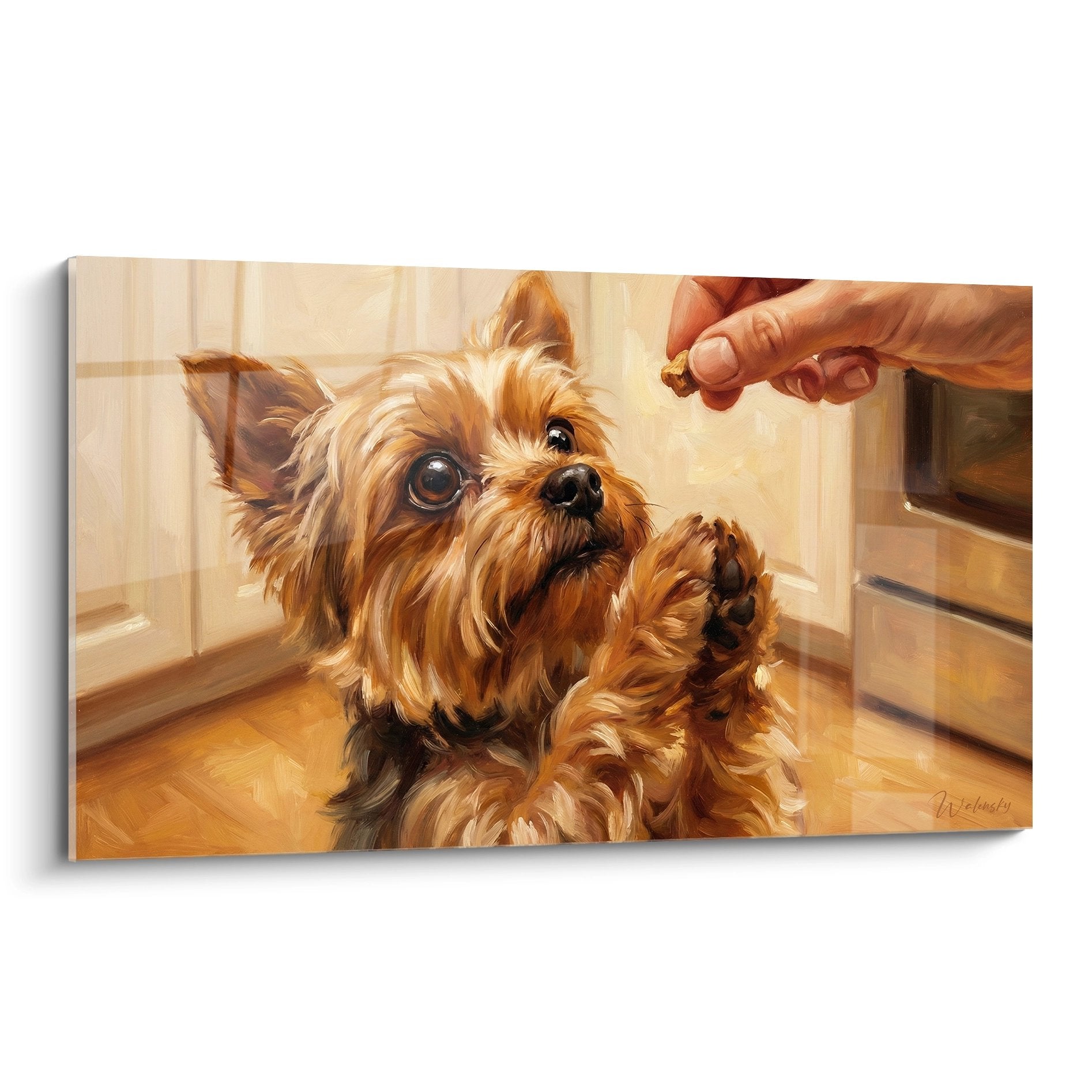 Yorkshire-Terrier mit flehenden Augen erhält Leckerli in einer Küche mit warmen, goldenen Tönen