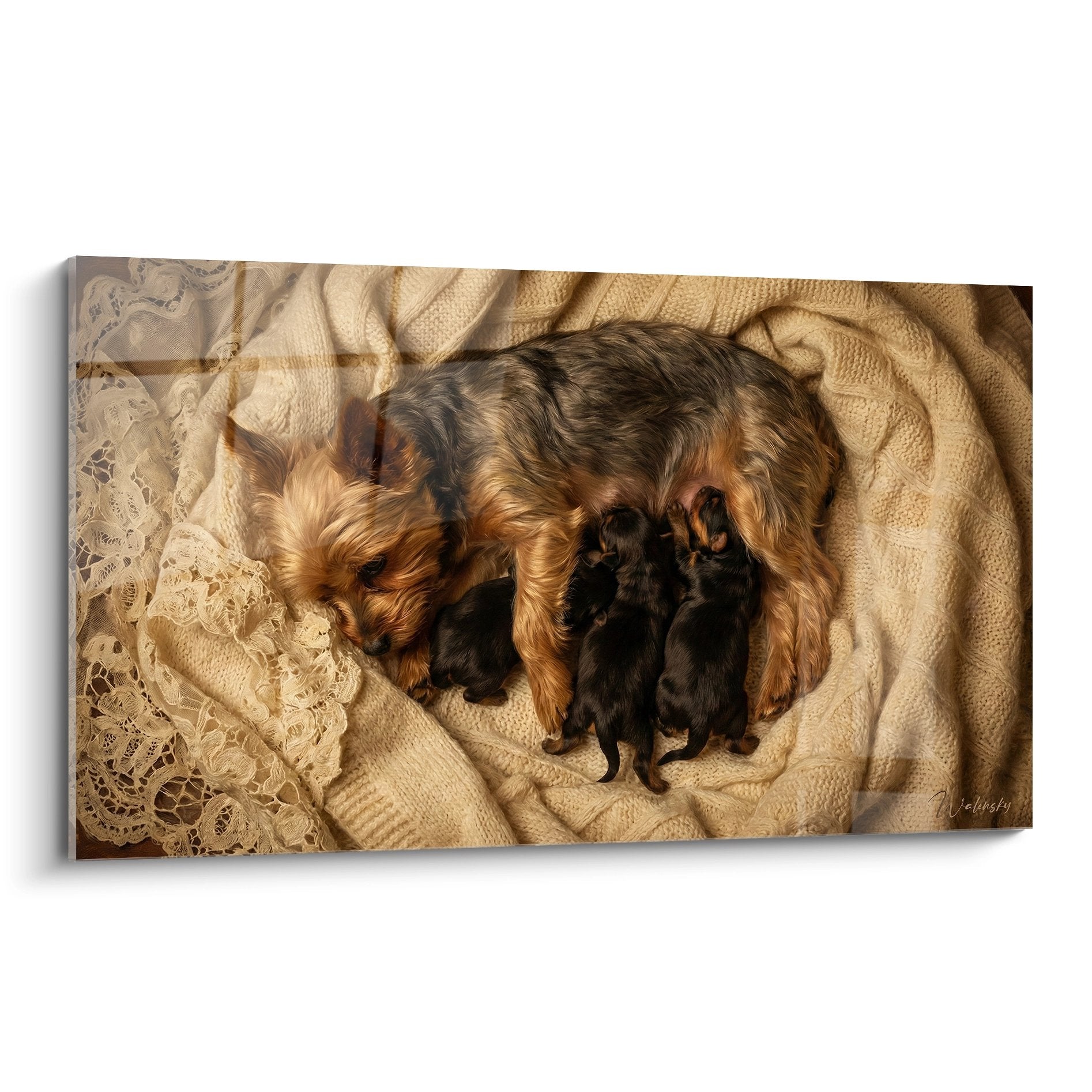 Yorkshire terrier mere et ses trois chiots sur couvertures crème avec dentelle ancienne scene maternelle touchante