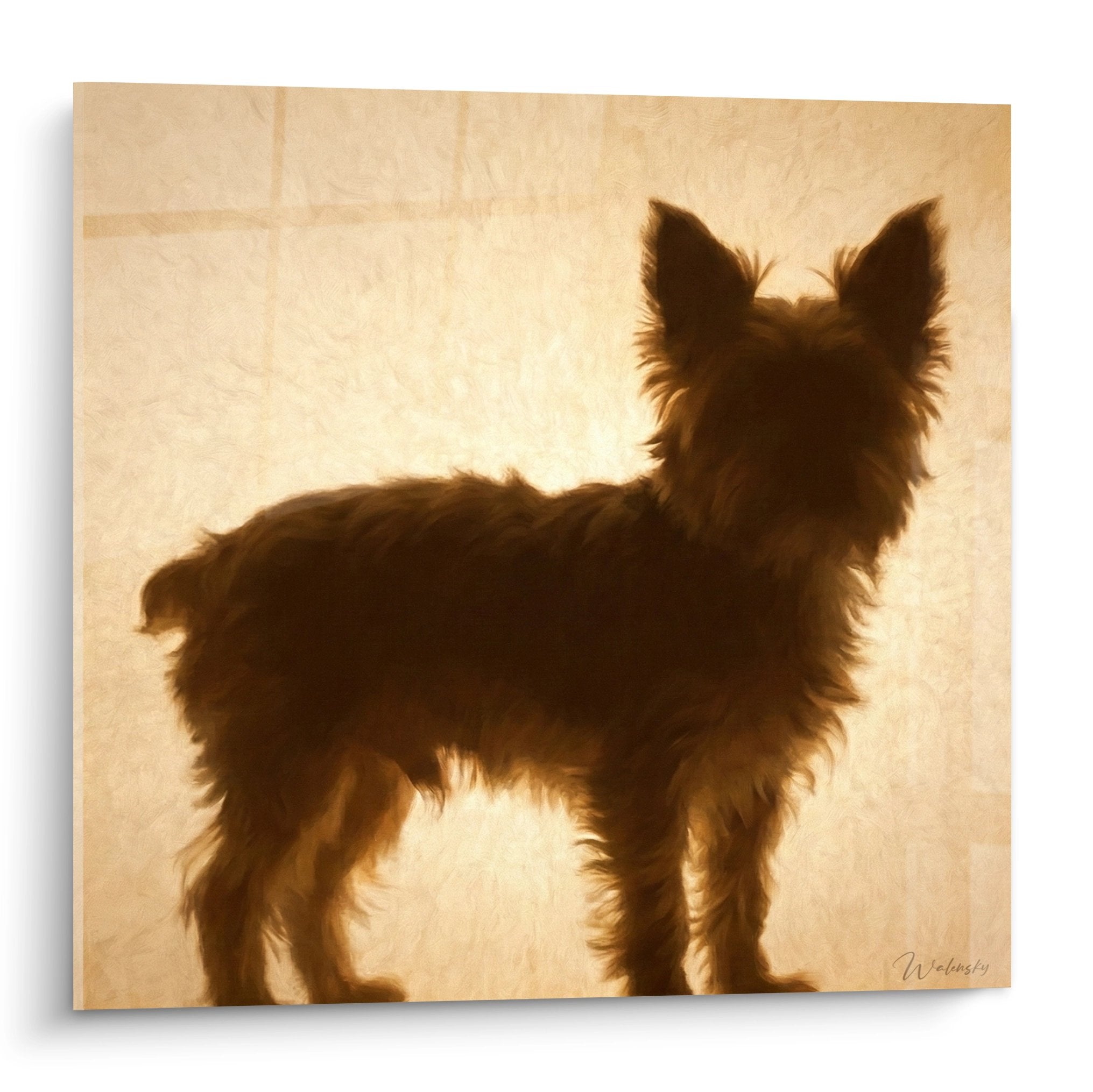 Tableau Yorkshire Terrier silhouette doree contre-jour lumiere tamisee art canin contemporain