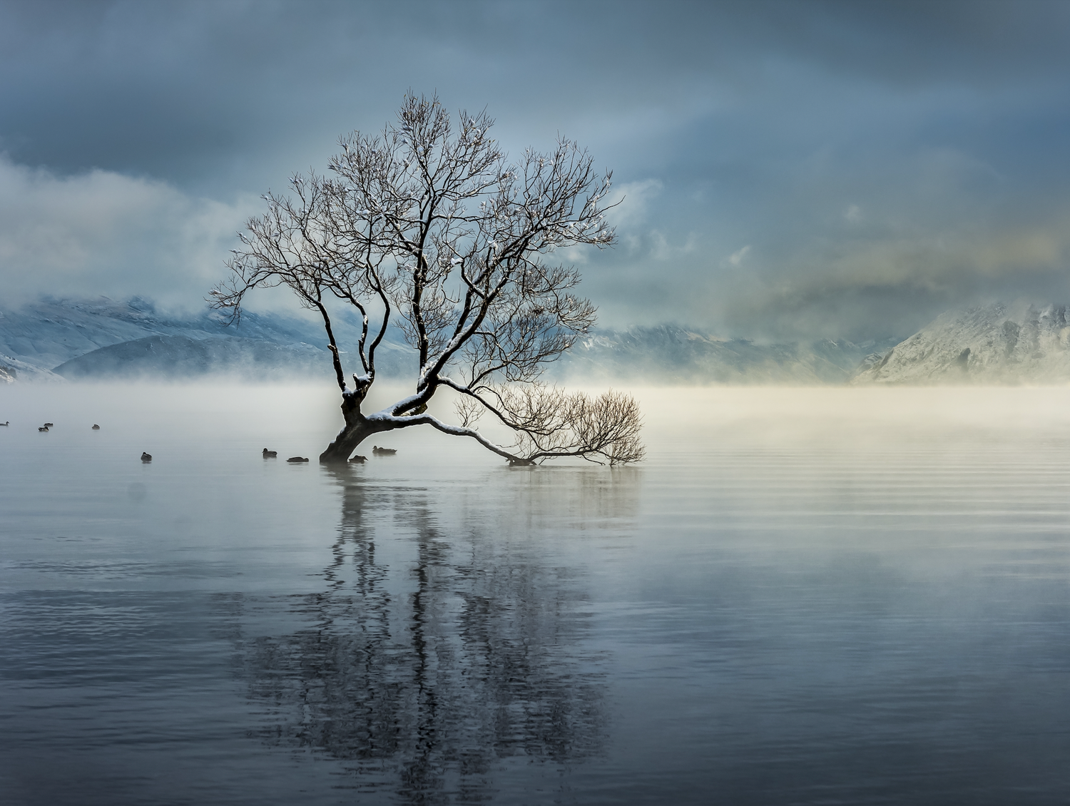 Les bienfaits d’un tableau paysage pour une ambiance apaisante dans votre intérieur