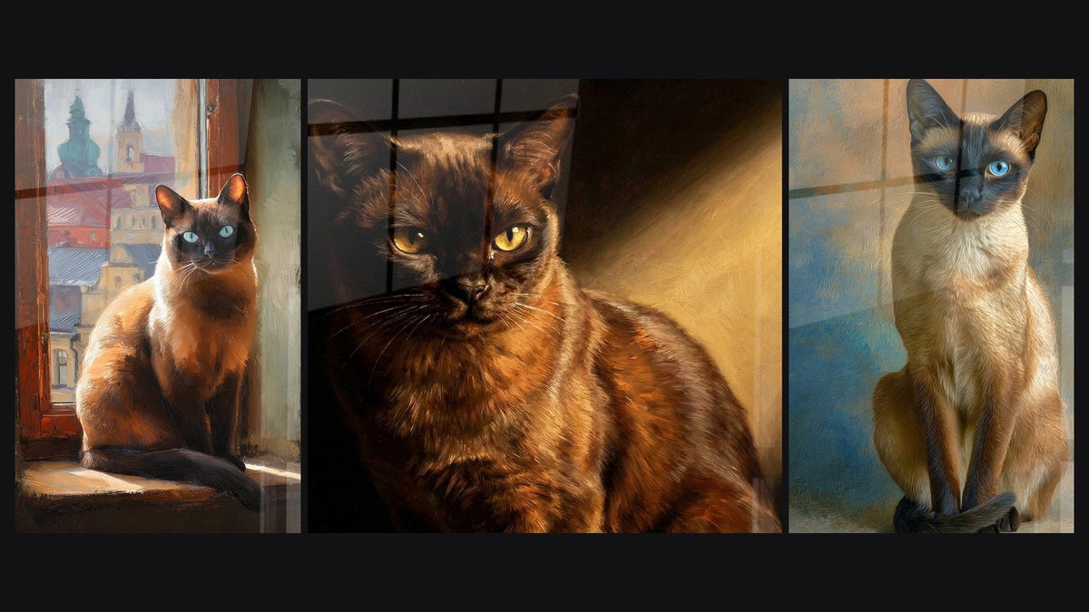 Mosaïque de trois tableaux : Chat Burmese à la fenêtre, Chat Burmese au Regard Doré et Chat Burmese aux Yeux Bleus