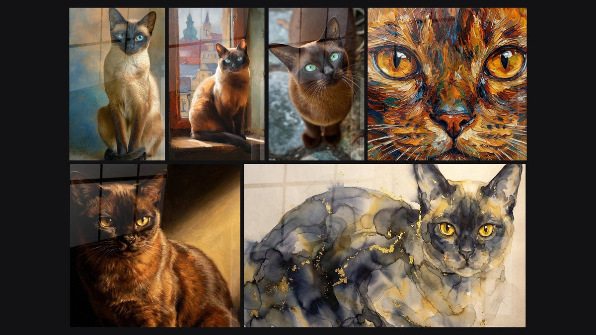 Mosaico di sei quadri, tra cui Chat Birmano con occhi azzurri, Chat Birmano con Sguardo Dorato e Chat Birmano Acquerello