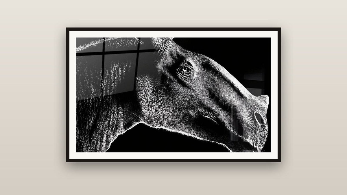 Tableau encadré sur un mur : Indricotherium Portrait