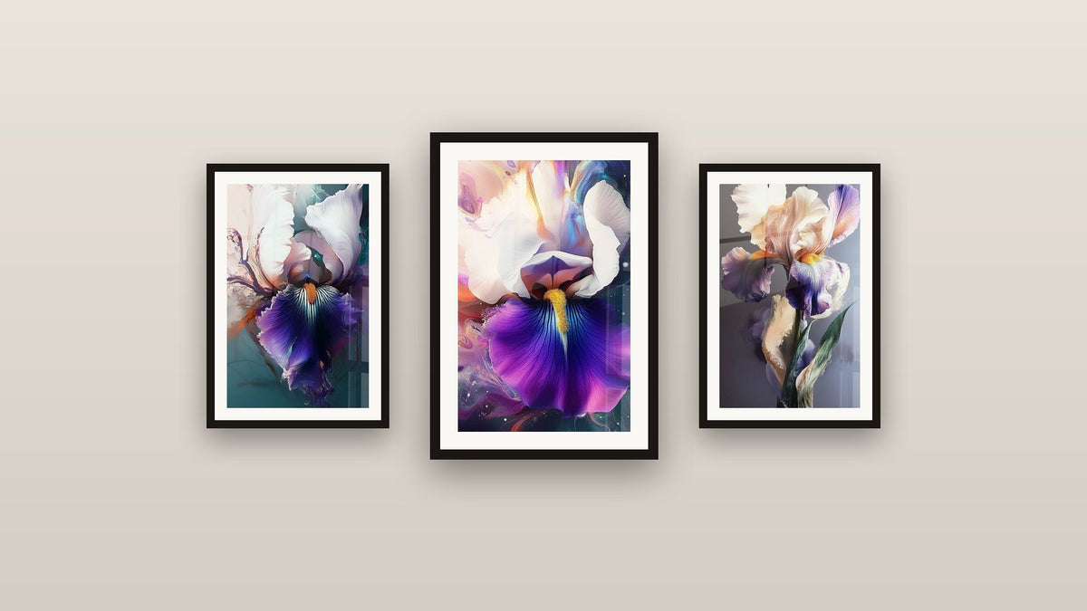 Mur de galerie avec trois tableaux encadrés : Iris N°4, Iris N°5 et Iris N°7