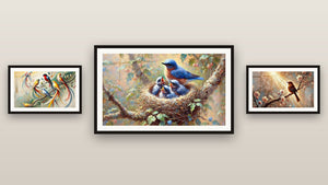 Pared de galería con tres cuadros enmarcados: Luminosidad de la Mañana, Despertar de los Pájaros y Explosiones de Plumas