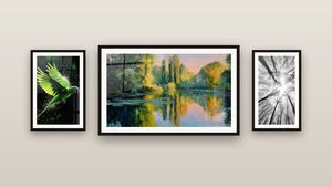 Gallery wall with three framed paintings: Forest Overhead View, Colorful Reflections on Peaceful Lake and Parrot Wall Art N°2