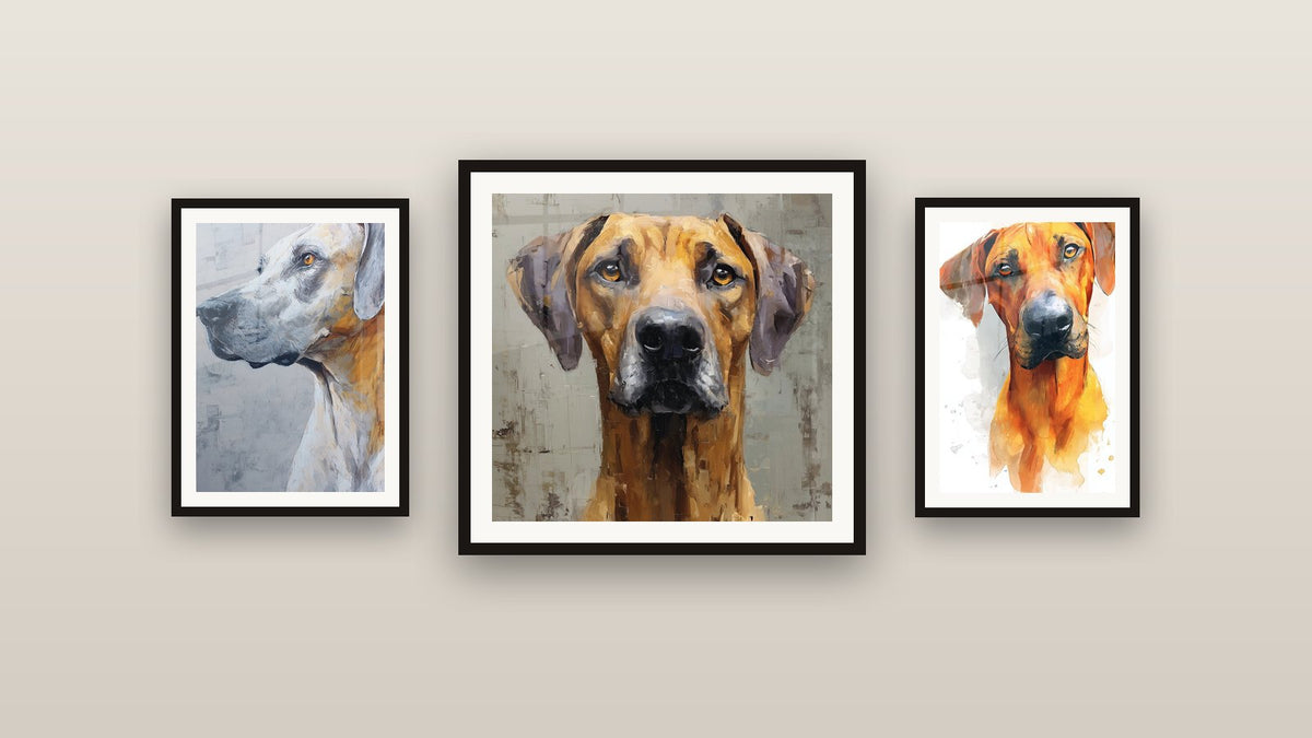 Mur de galerie avec trois tableaux encadrés, dont Portrait de Chien au Regard Noble