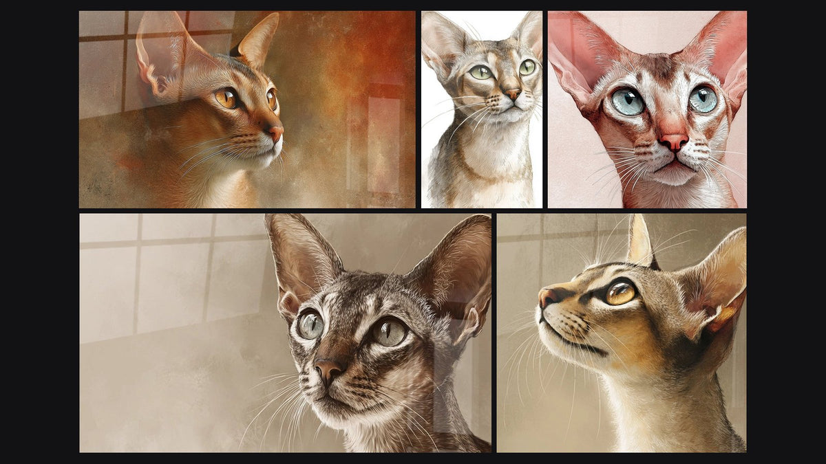 Mosaico di cinque quadri, tra cui Chat Singapura Ritratto Dorato, Ritratto Chat Singapore e Chat Singapura Occhi Blu