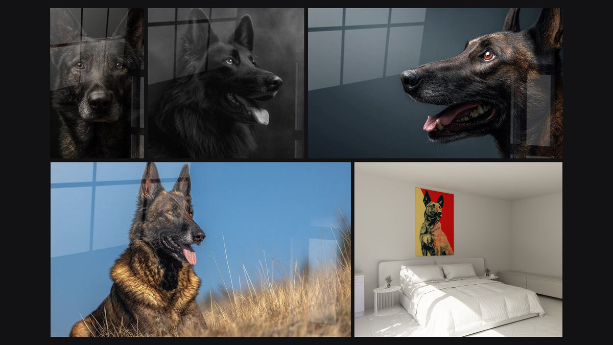 Mosaïque de cinq tableaux, dont Portrait Canin aux Yeux Ambrés et Berger Hollandais Portrait Rouge et Beige