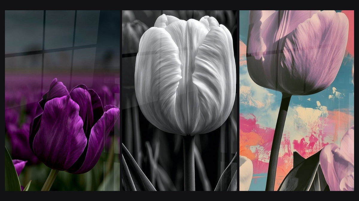 Mosaïque de trois tableaux, dont Tulipe violette aux pétales veloutés et Tulipe blanche et noire aux pétales veinés