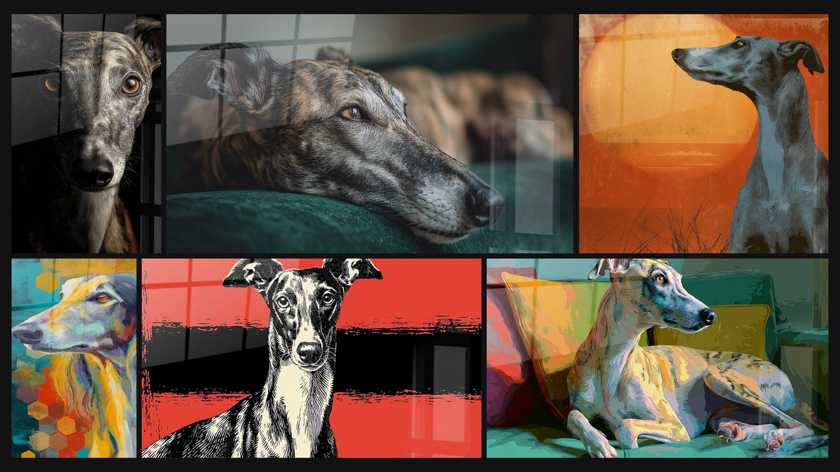 Mosaïque de six tableaux, dont Portrait de Lévrier aux Yeux Ambrés et Lévrier au Repos sur Coussin Turquoise