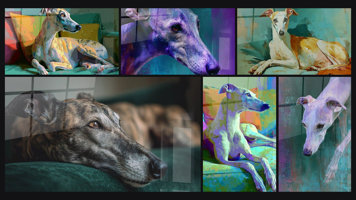 Mozaïek van zes schilderijen, waaronder Whippet Liggend op Turquoise Sofa en Whippet Rustend op Turquoise Kussen
