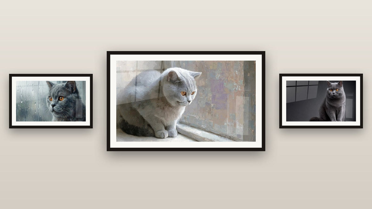 Gallery wall with three framed paintings, including Grey British Shorthair Cat and British Shorthair Cat in the Rain